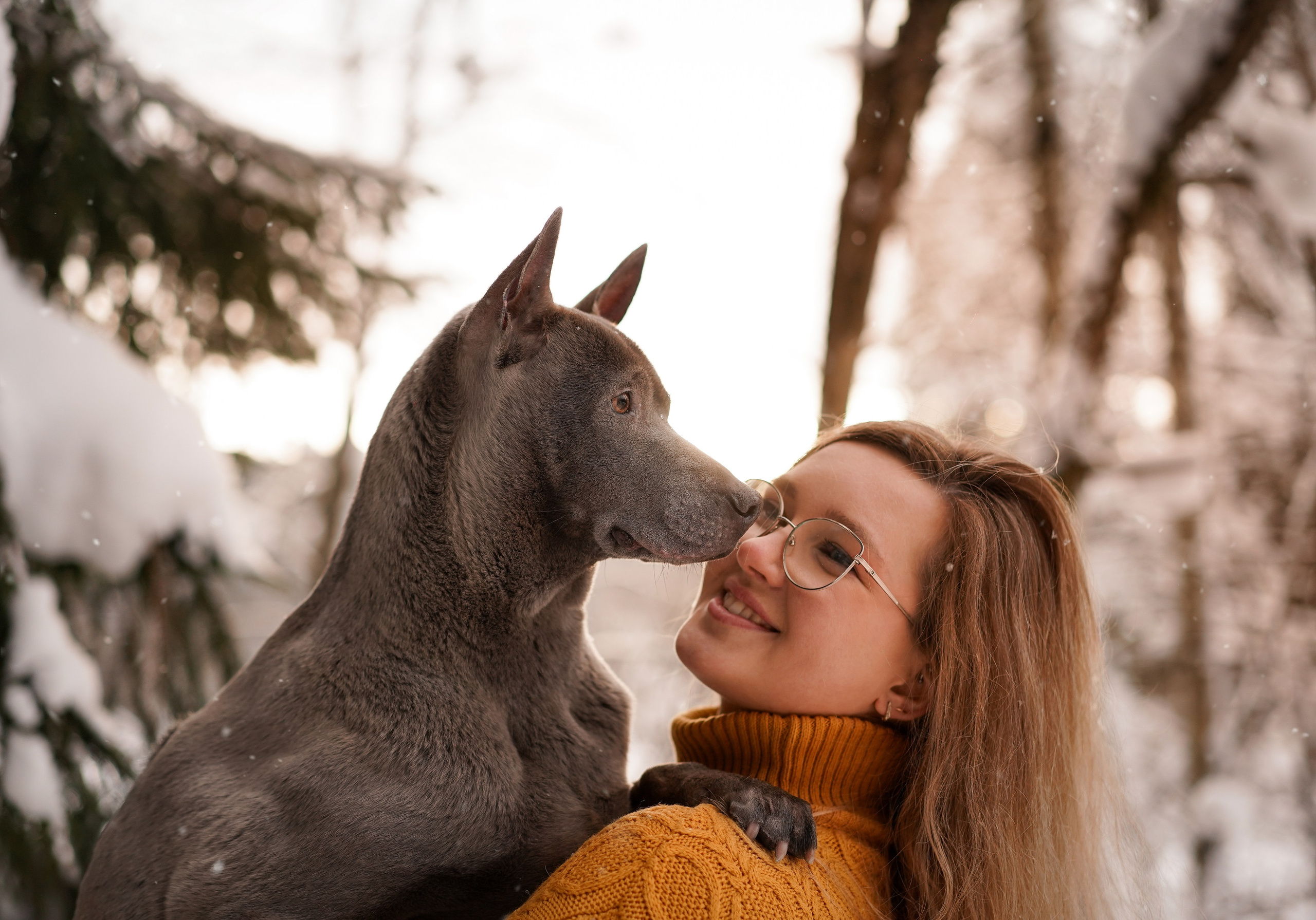 Даша Илья Вениамина и Мэдиссон. Фотограф-анималист в Санкт-Петербурге Яна Мартынова