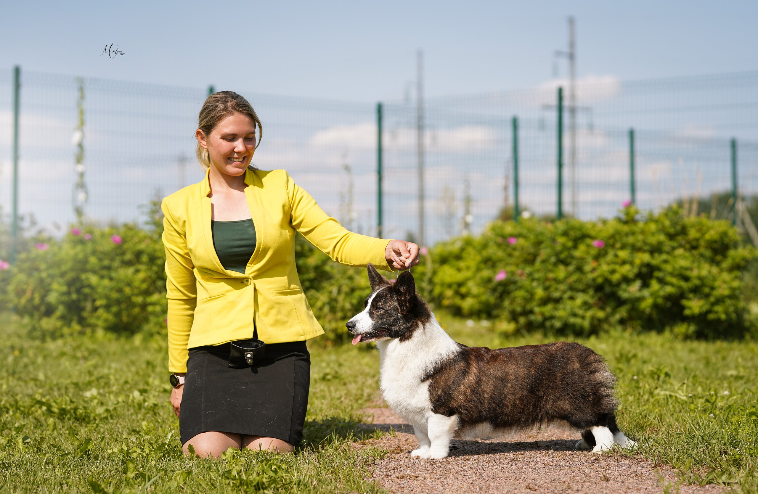 Выставки 2023. Фотограф-анималист в Санкт-Петербурге Яна Мартынова