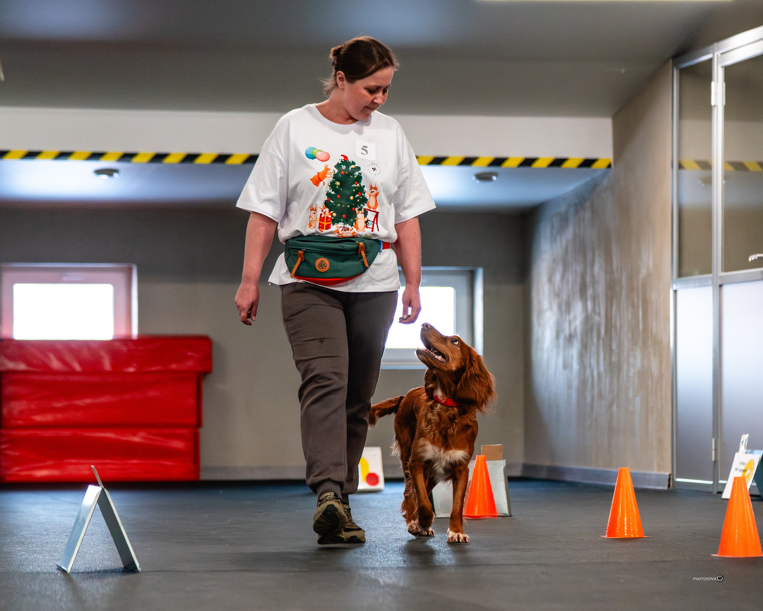 ТЫ И Я (соревнования по ралли-обидиенс). Фотограф-анималист, семейный фотограф в Москве и Подмосковье. Фотосъёмка кинологических дисциплин