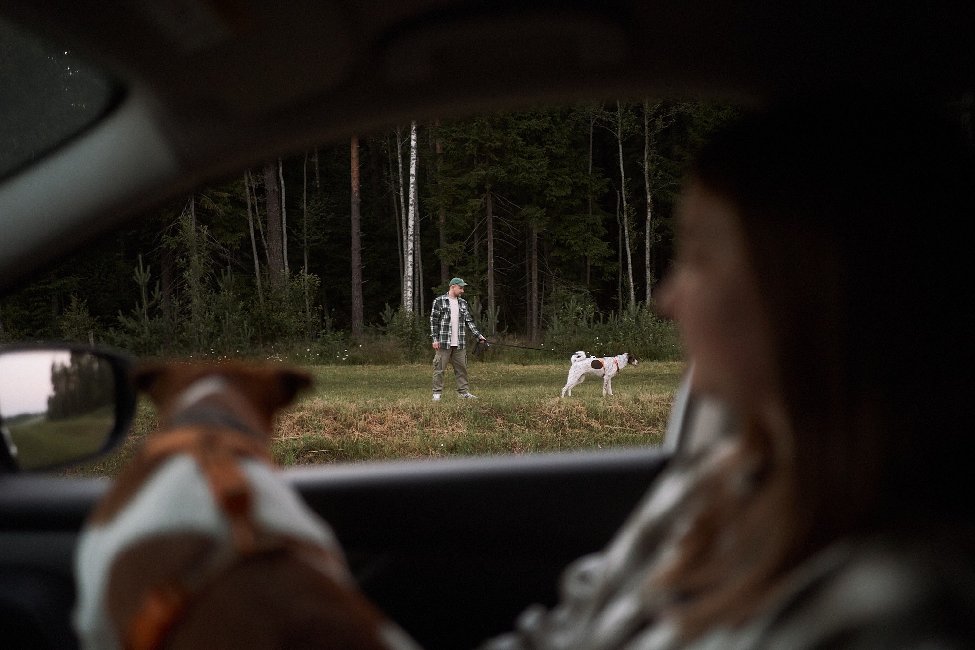 На рассвете. Фотограф анималист Москва Дарья