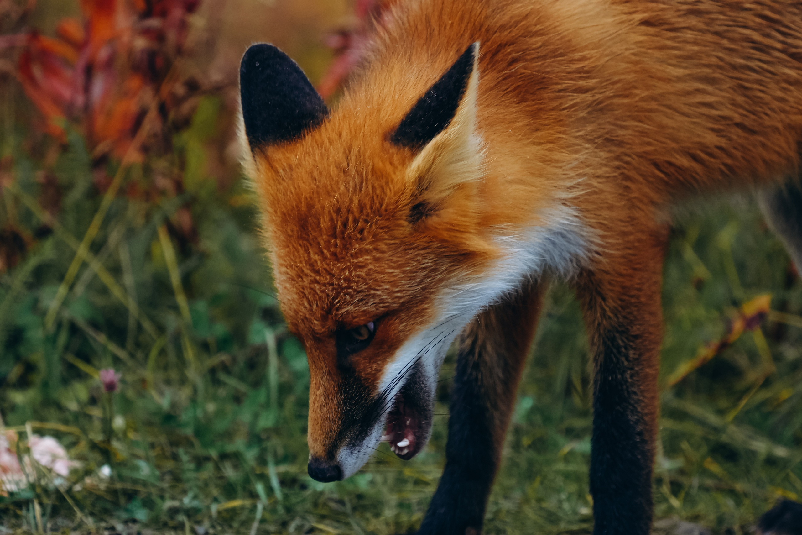 СЕВЕР. Event фотограф Степанова Александра