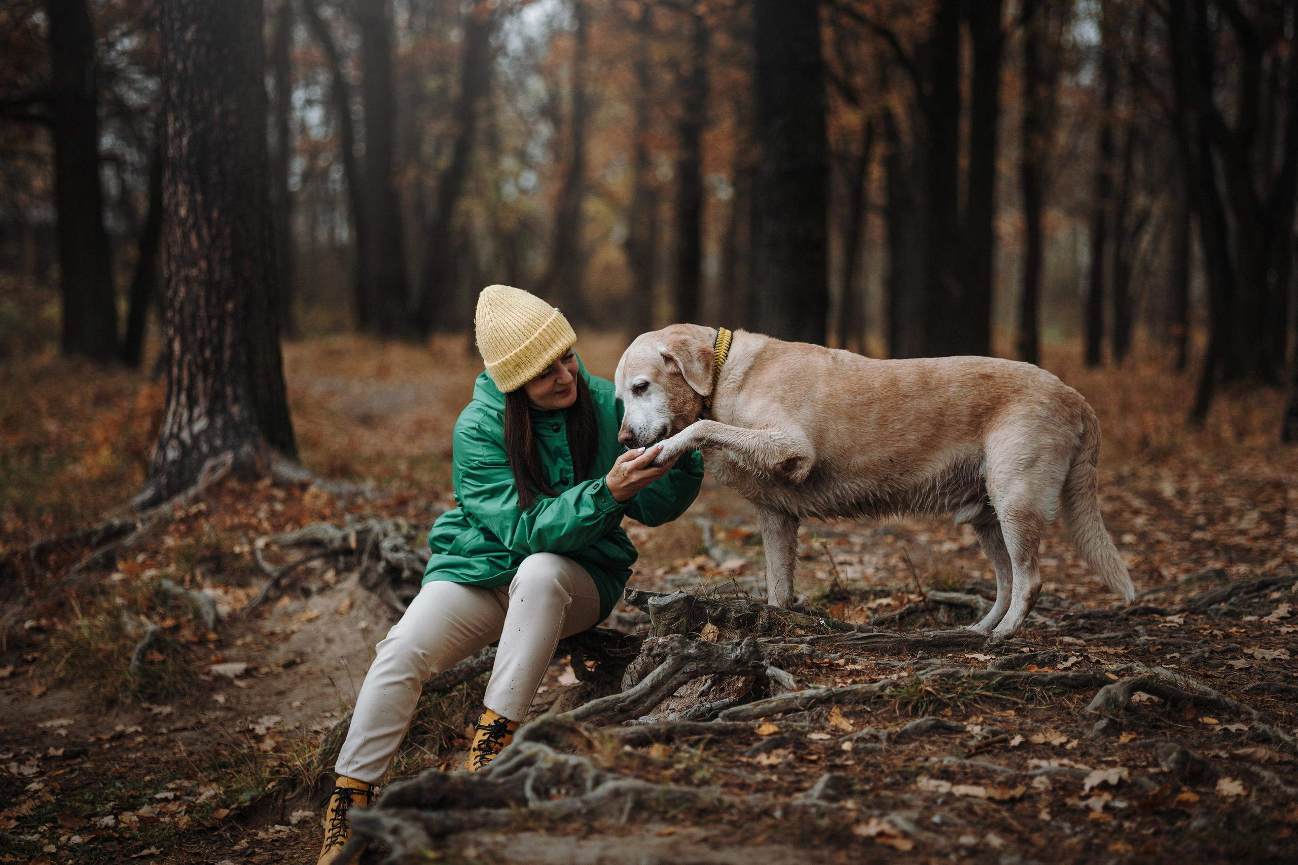 Оксана и Барон. Фотограф — Анималист | Санкт-Петербург