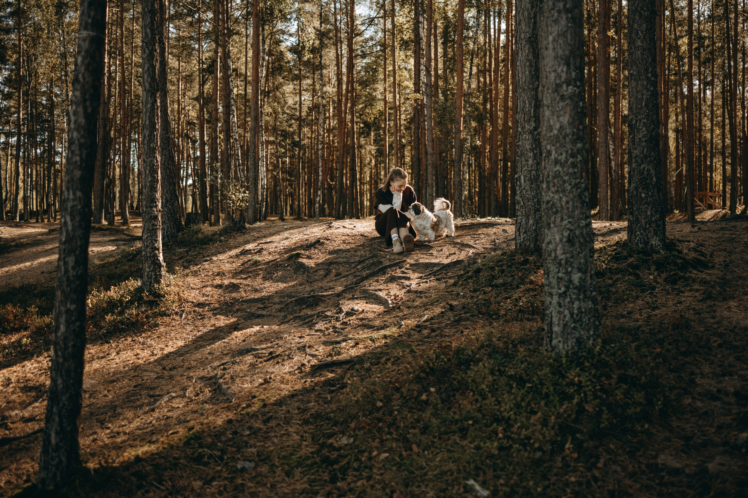 Настя и Франт. Фотограф — Анималист | Санкт-Петербург