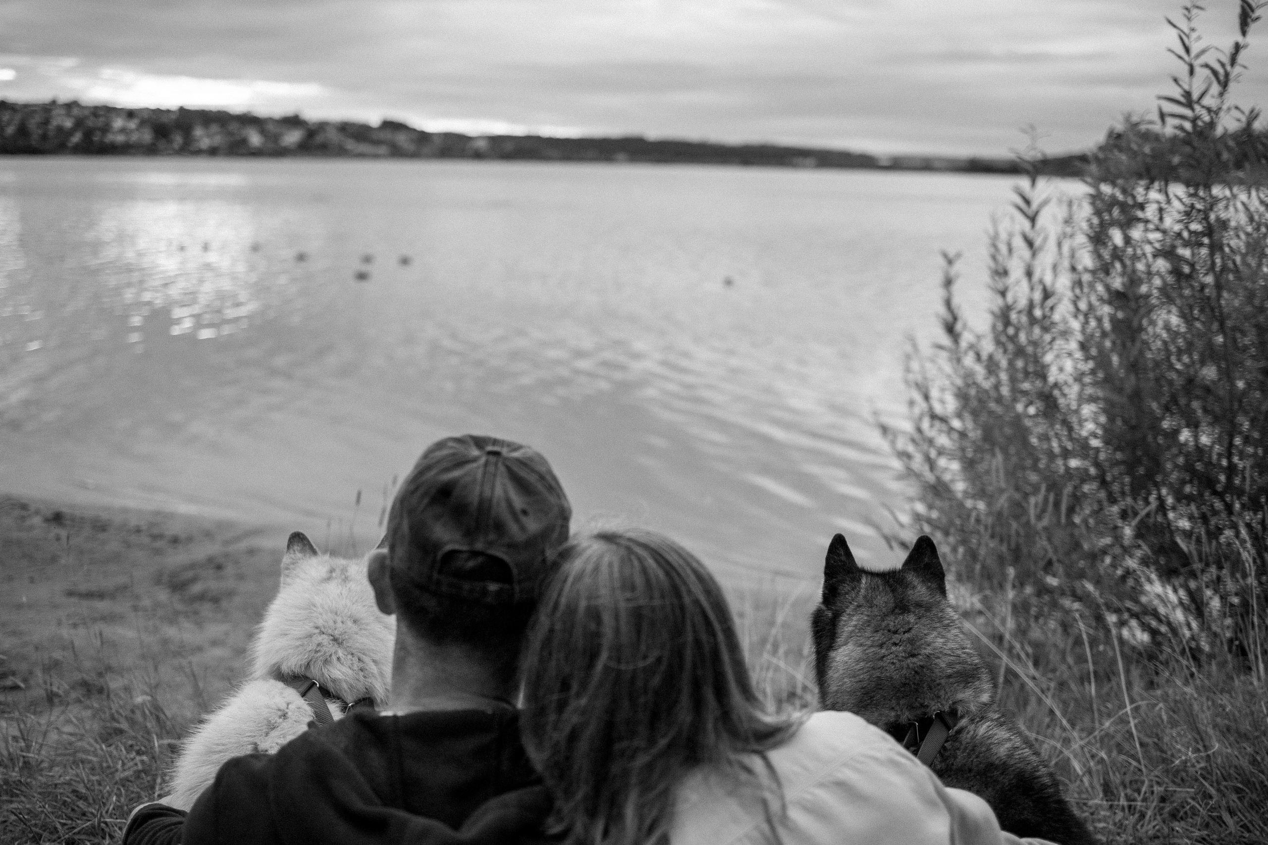 Дом у реки. Фотограф — Анималист | Санкт-Петербург