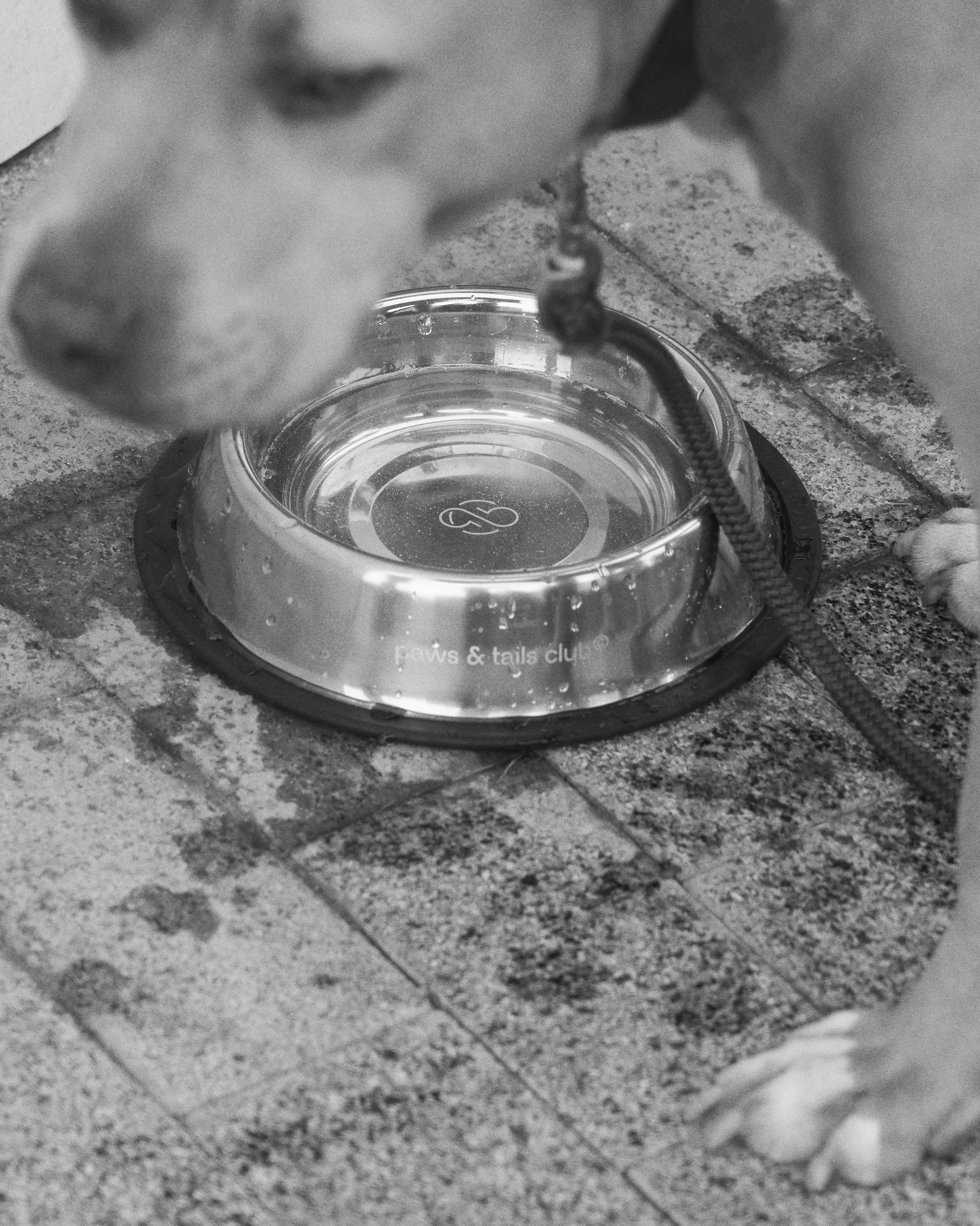 Content for ABC COFFEE ROSTERS. Nadezhda Diskant is a Moscow and Saint Petersburg based photographer