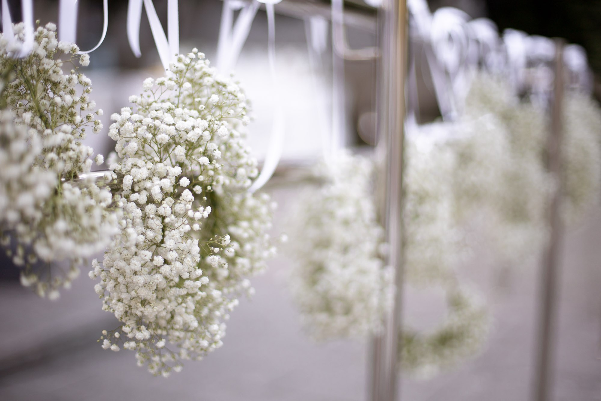 Белый ужин. SaGaFOTO.ru