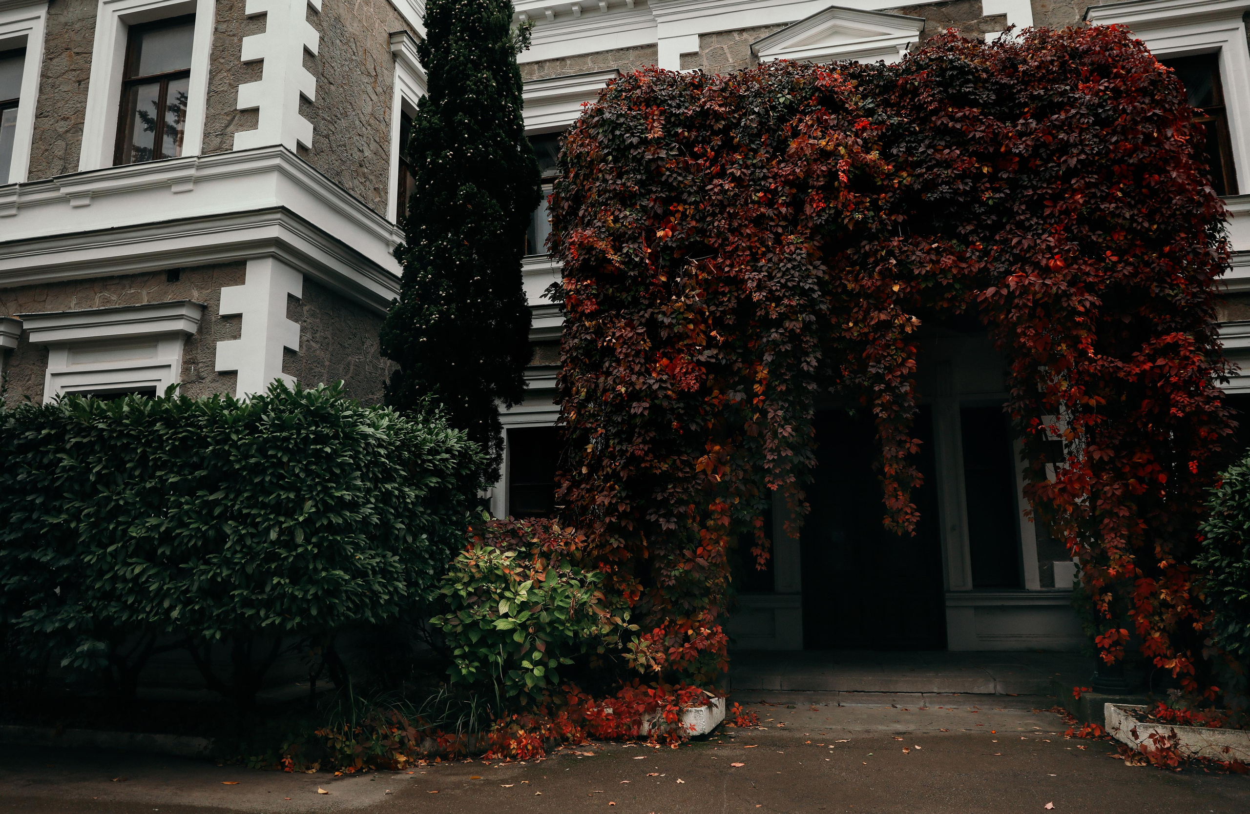 Роман и Елизавета. Свадебный и семейный фотограф в Севастополе и Крыму Анастасия Сураева