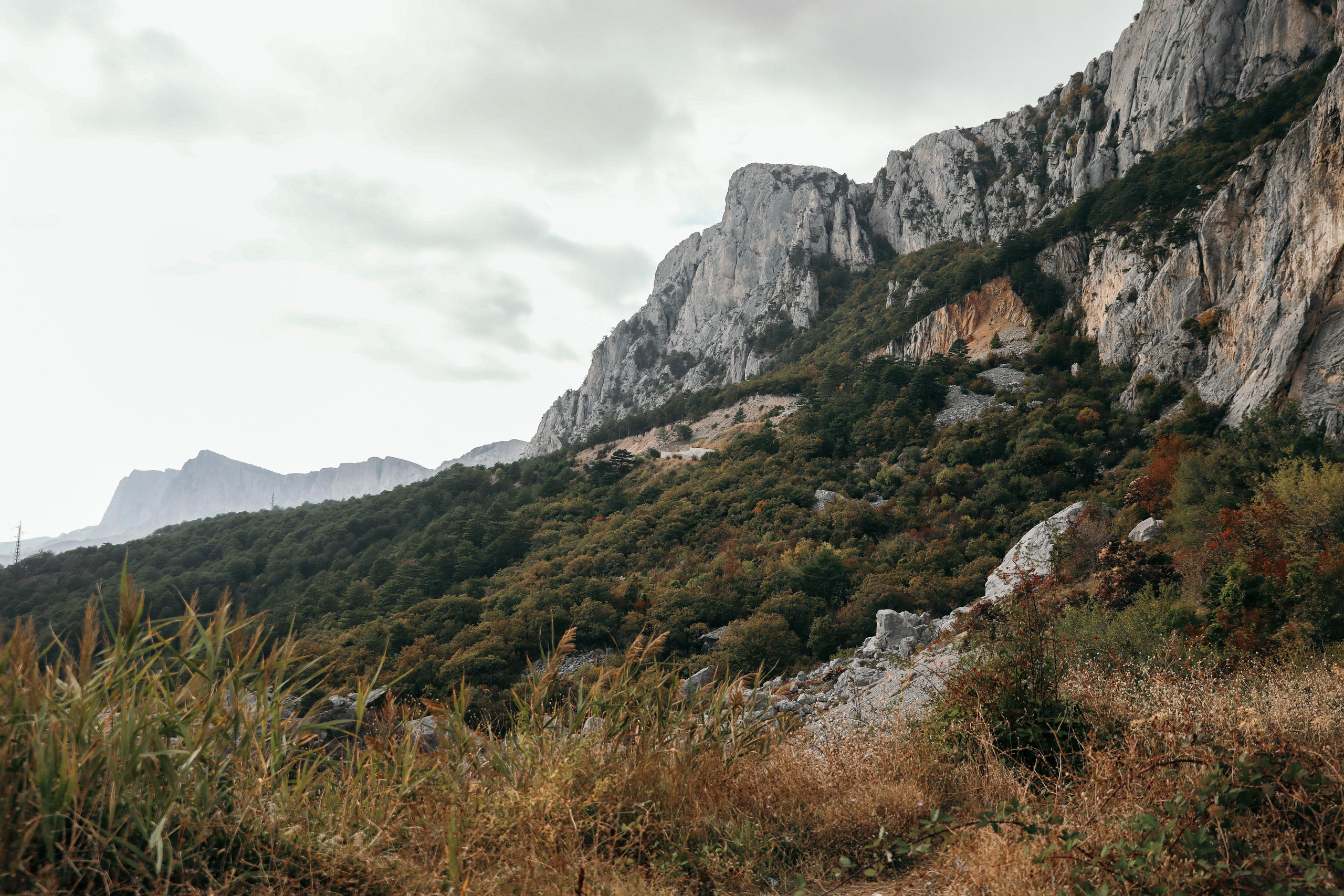 Даниил и Светлана. Свадебный и семейный фотограф в Севастополе и Крыму Анастасия Сураева