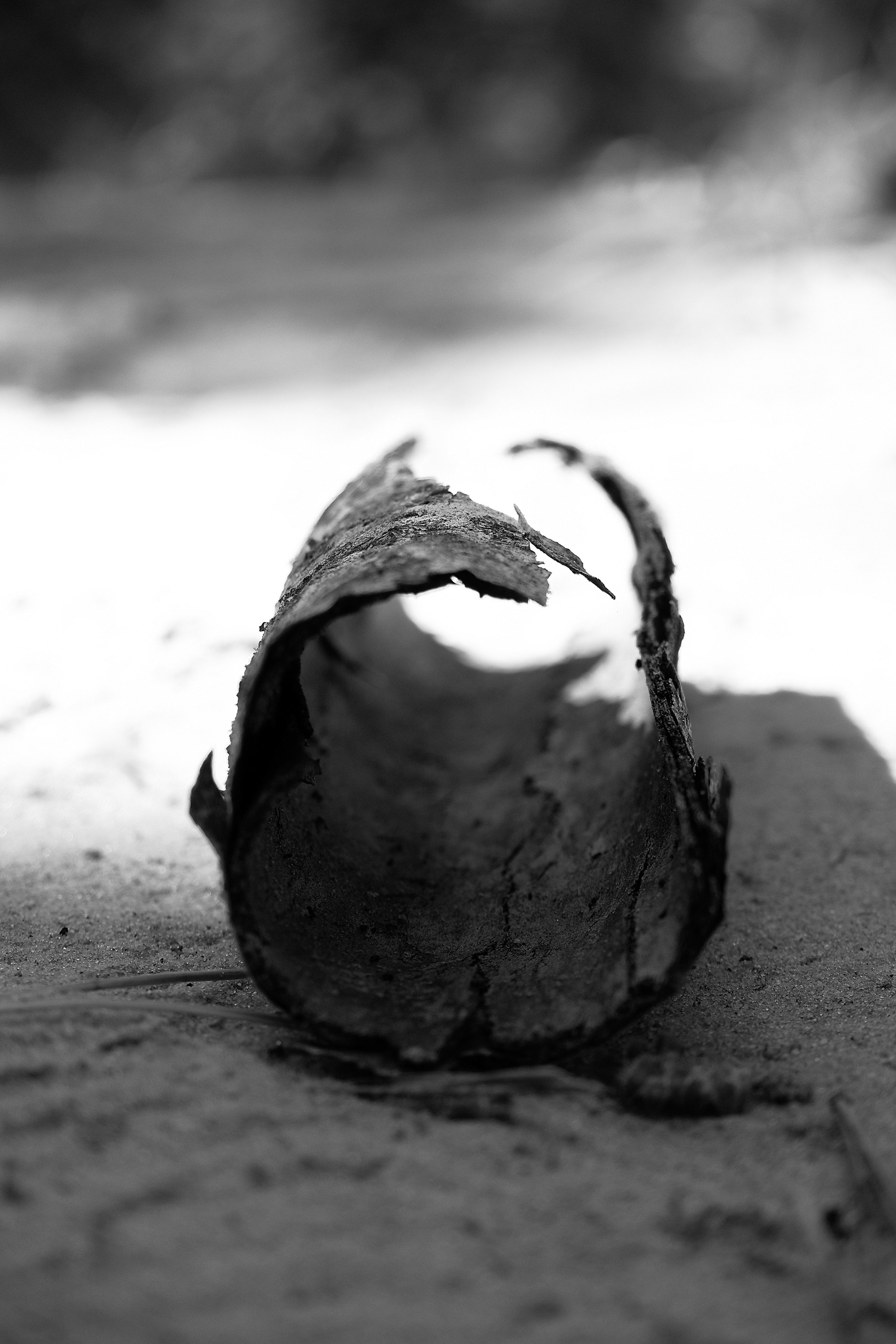 ЧБ  пейзажи (BnW landscape). Фотограф (photographer) Lischinski Vitaliy