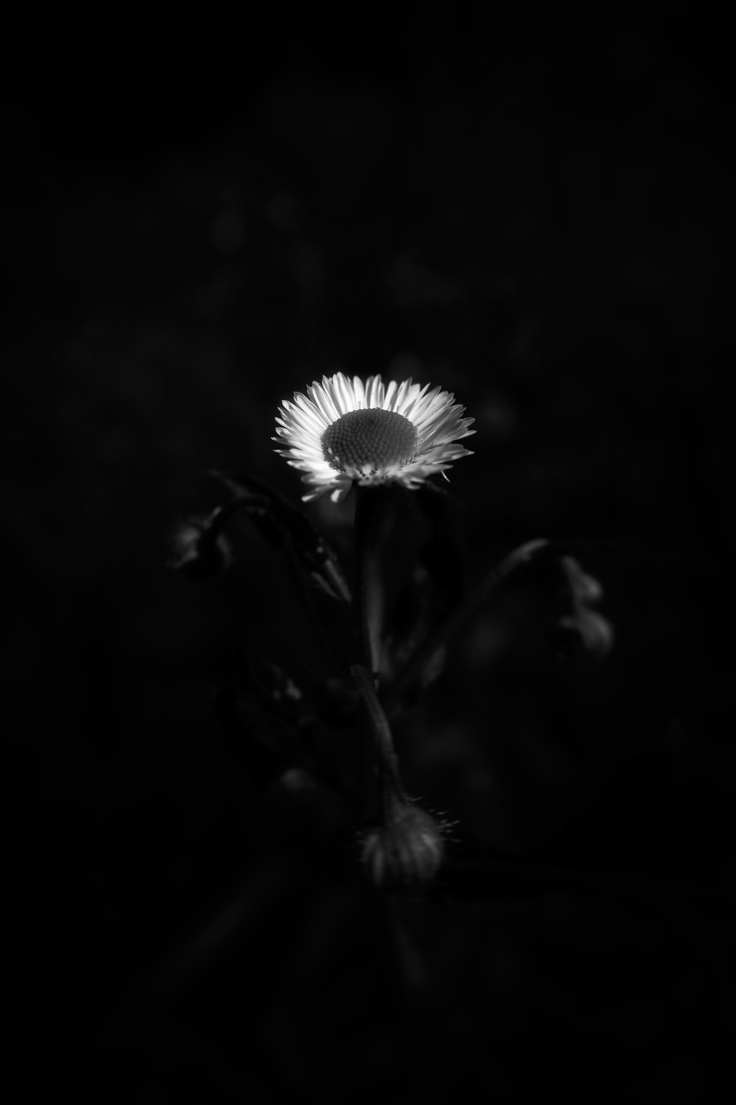 ЧБ  пейзажи (BnW landscape). Фотограф (photographer) Lischinski Vitaliy