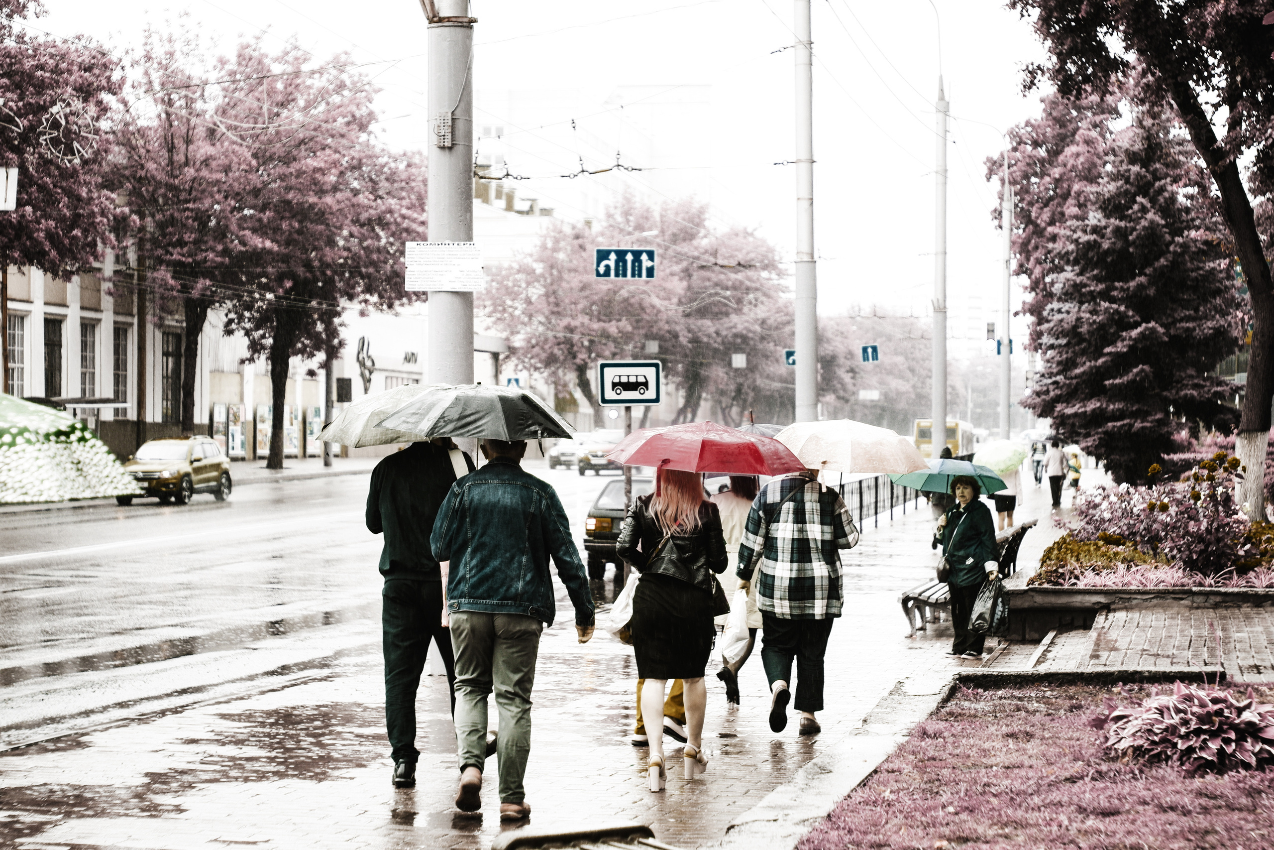 Street photo. Фотограф (photographer) Lischinski Vitaliy