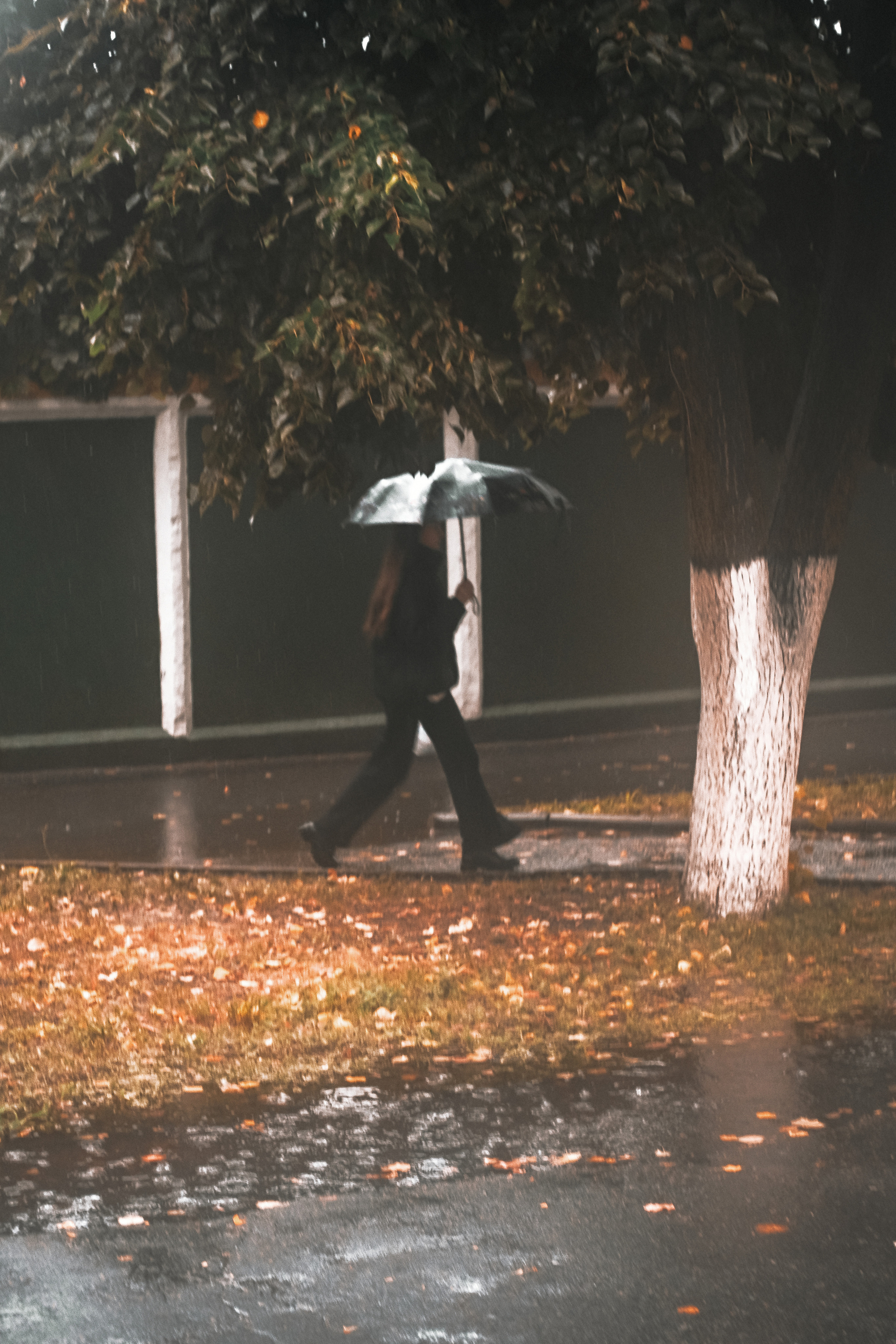 Street photo. Фотограф (photographer) Lischinski Vitaliy