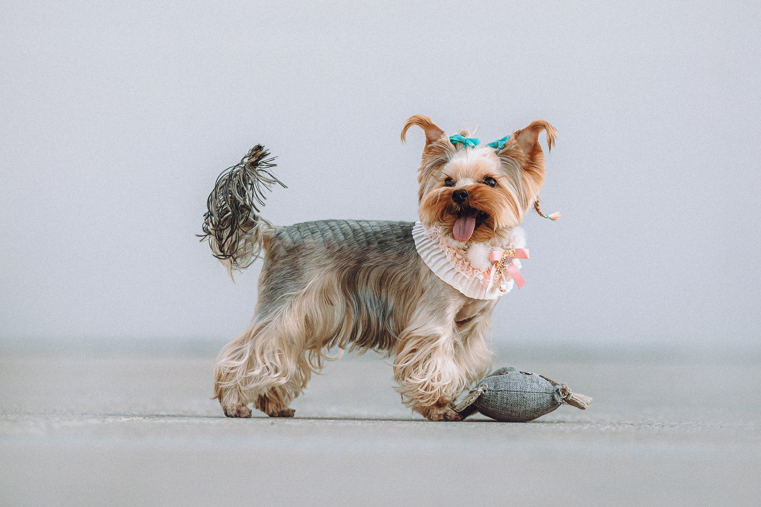 Дженни, Оливия и их семья