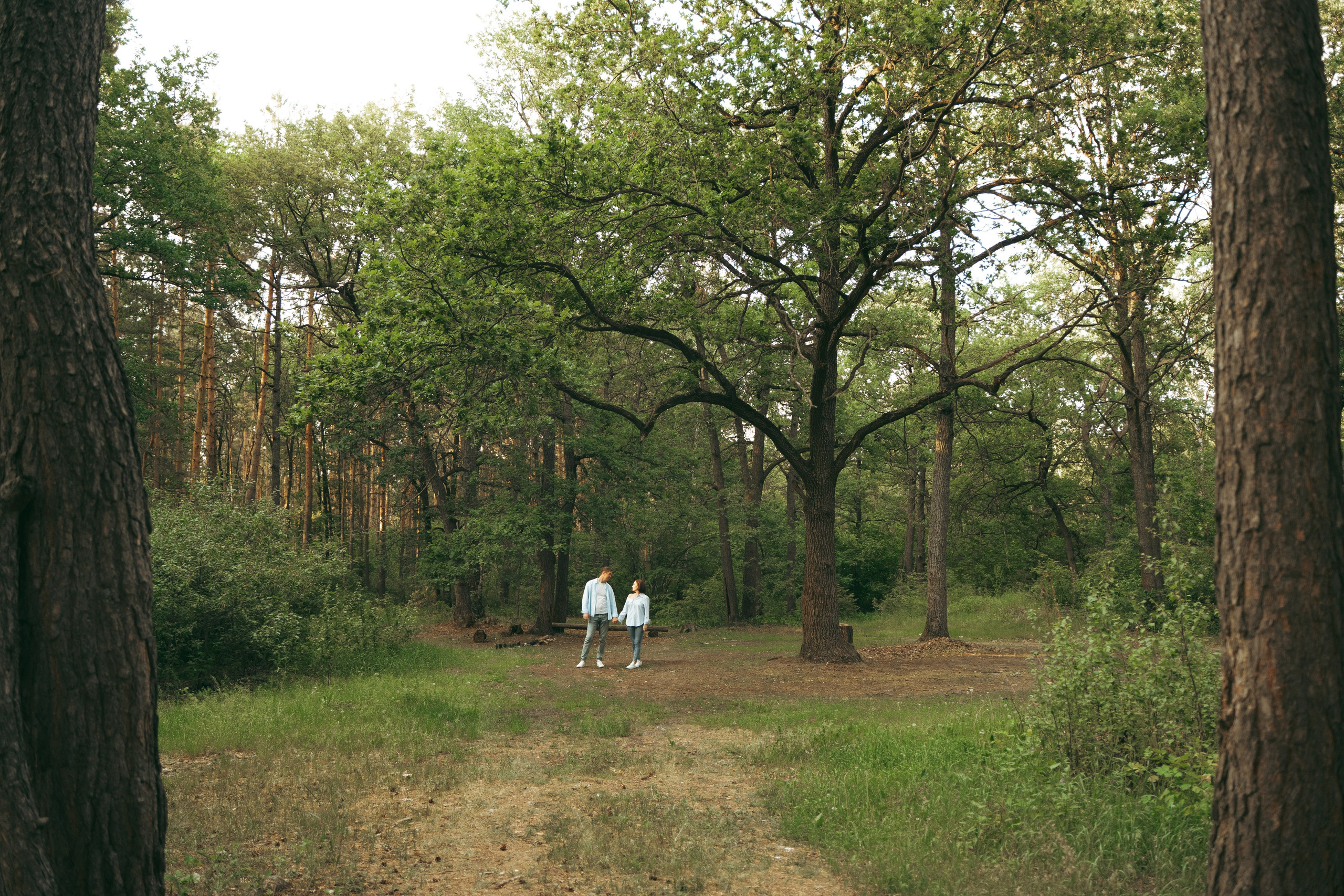 Лес. Фотограф Мария Зайчик