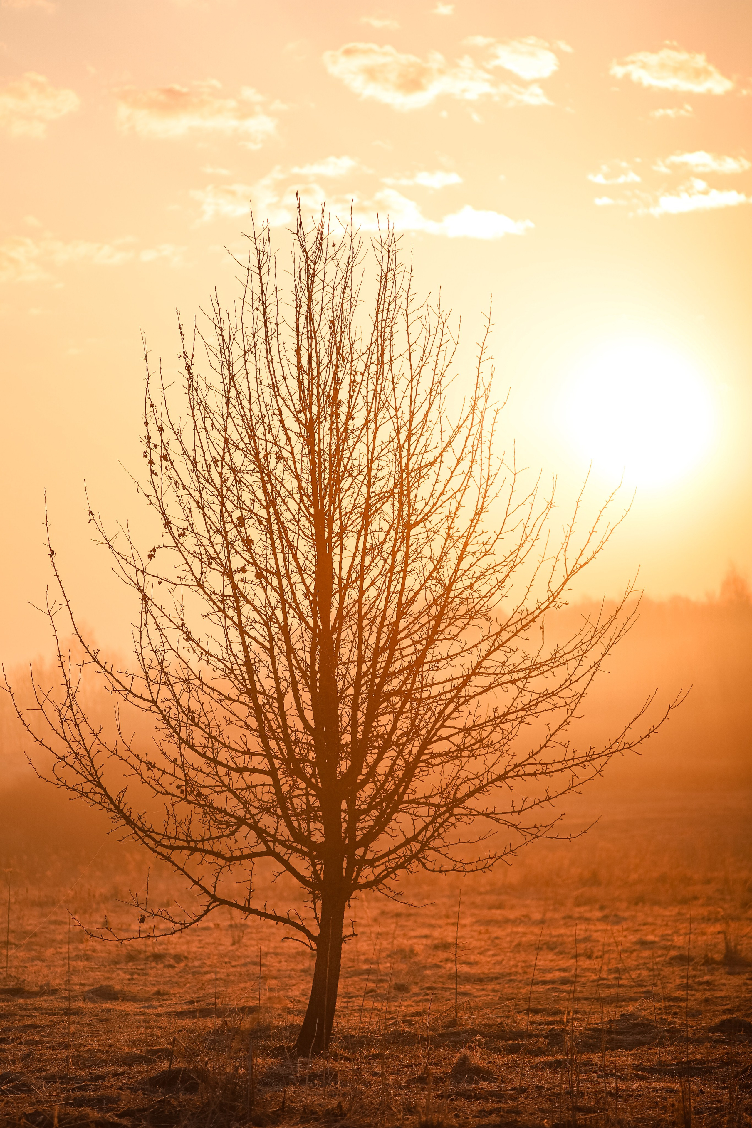 Природа. Фотограф Ольга Мурзина