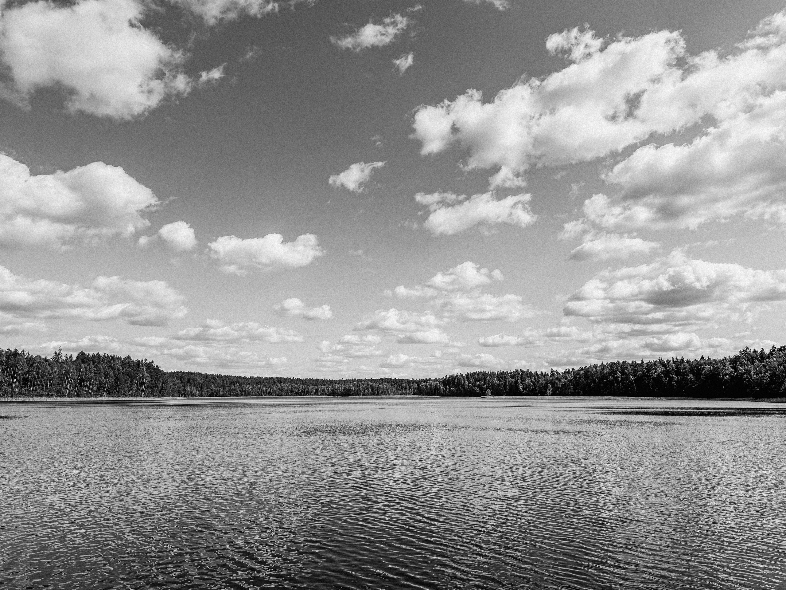 Фотограф Антон Швец — Монохромная реальность