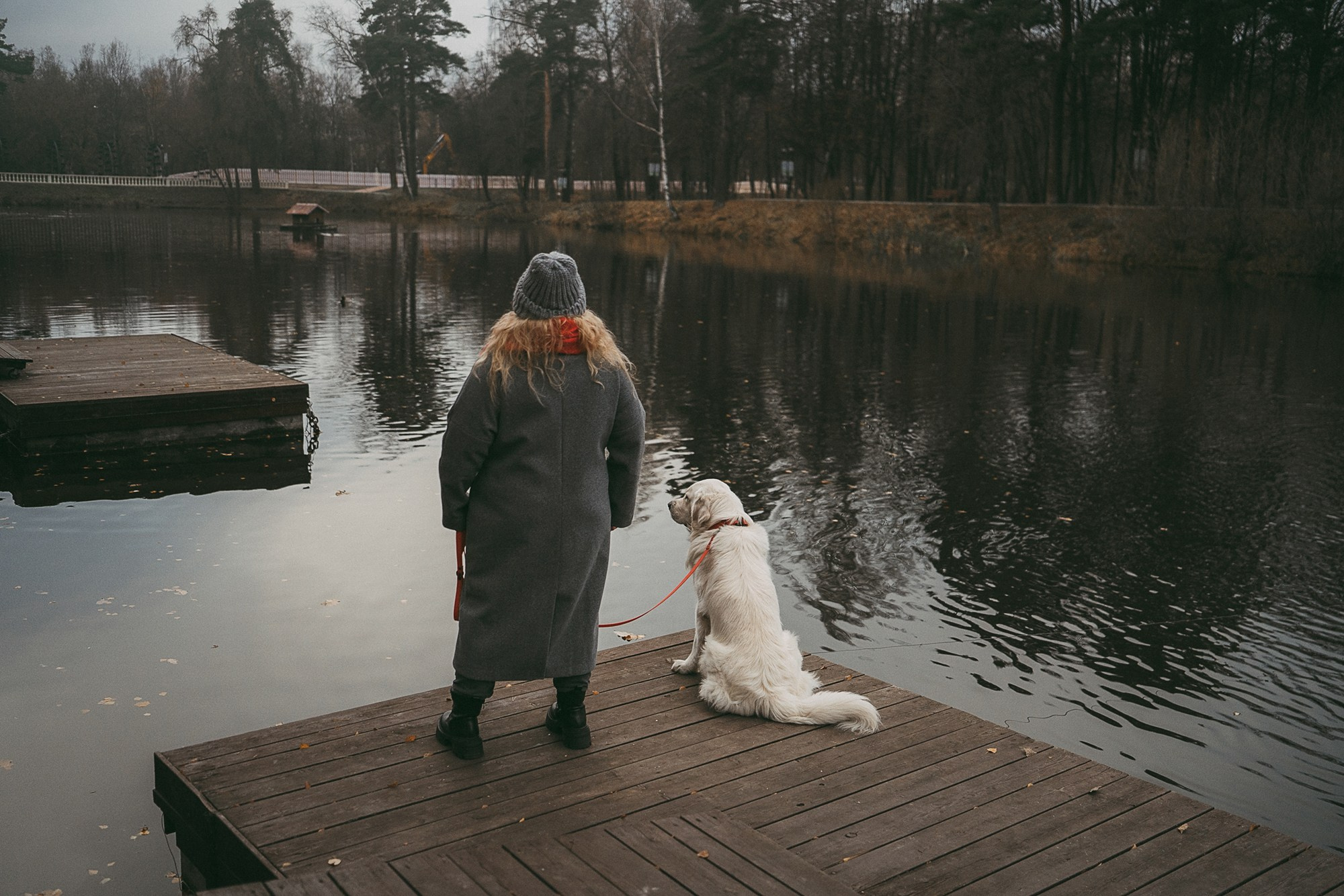 Лена и Мерлин. Фотограф анималист в Москве и Санкт-Петербурге Свиридова Анна