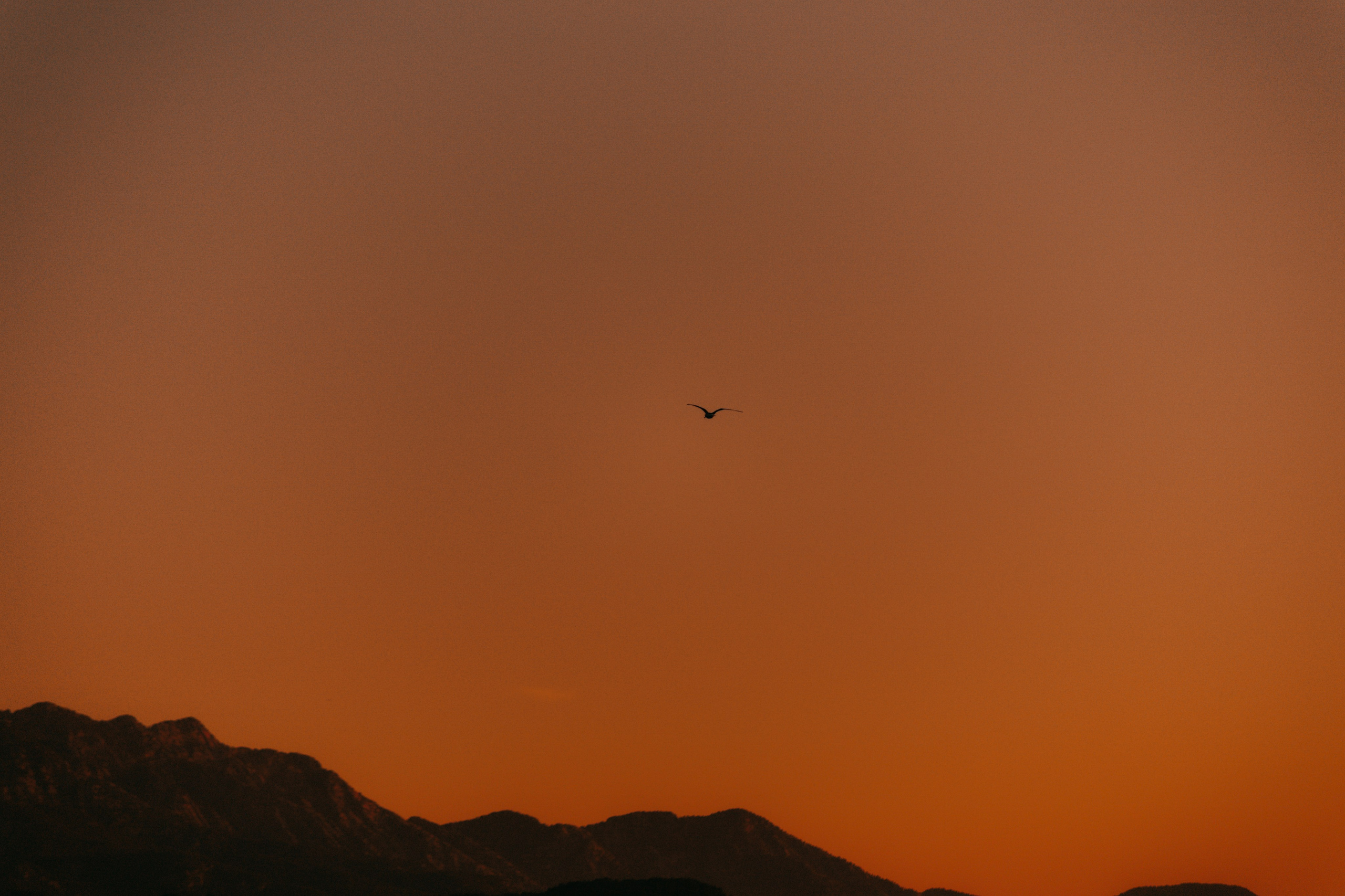 Природа. Спортивный фотограф Тремпольцева Анна