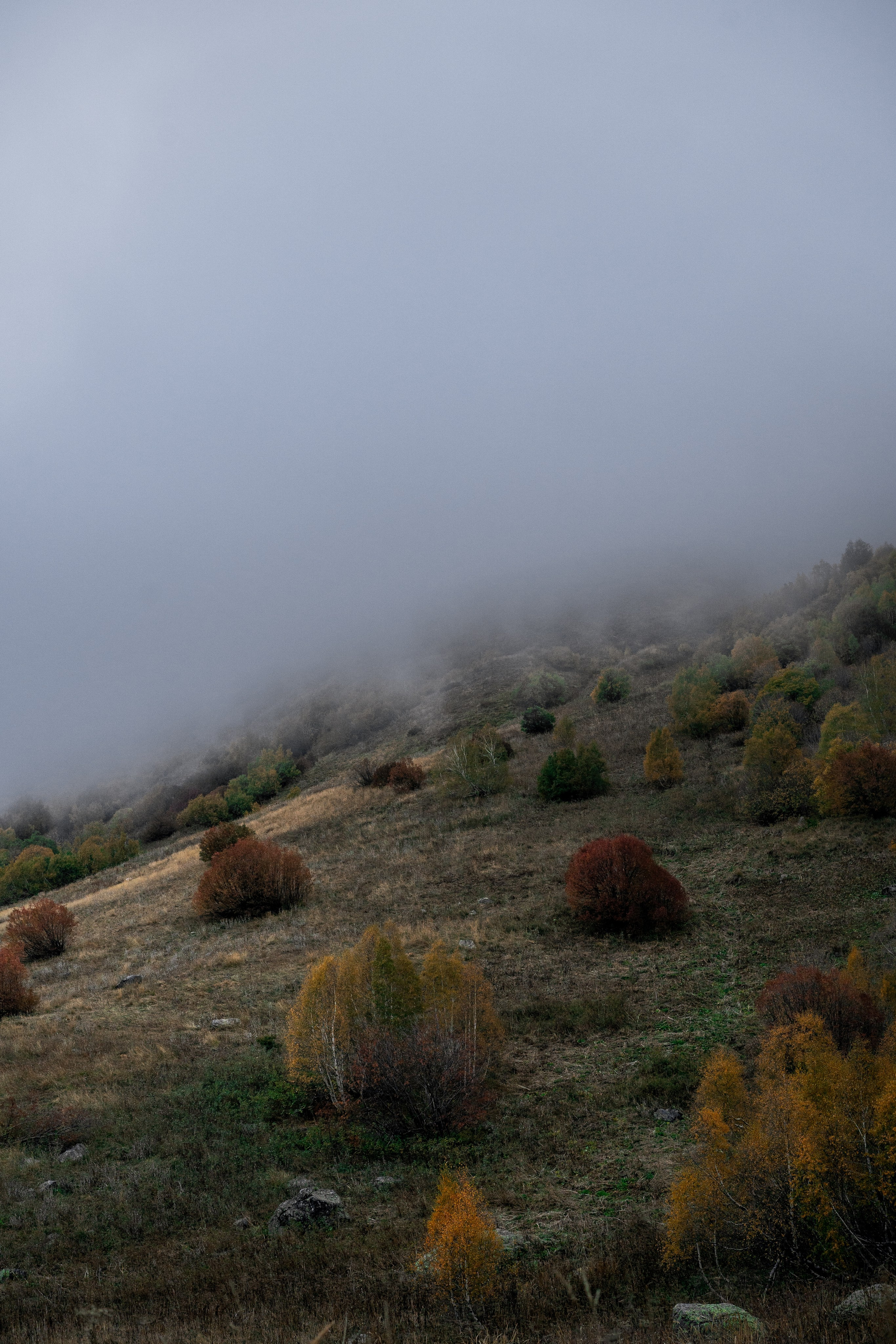 Вдоль по реке Домбай-Ульген. Юля Дэй • Фотограф, Санкт-Петербург