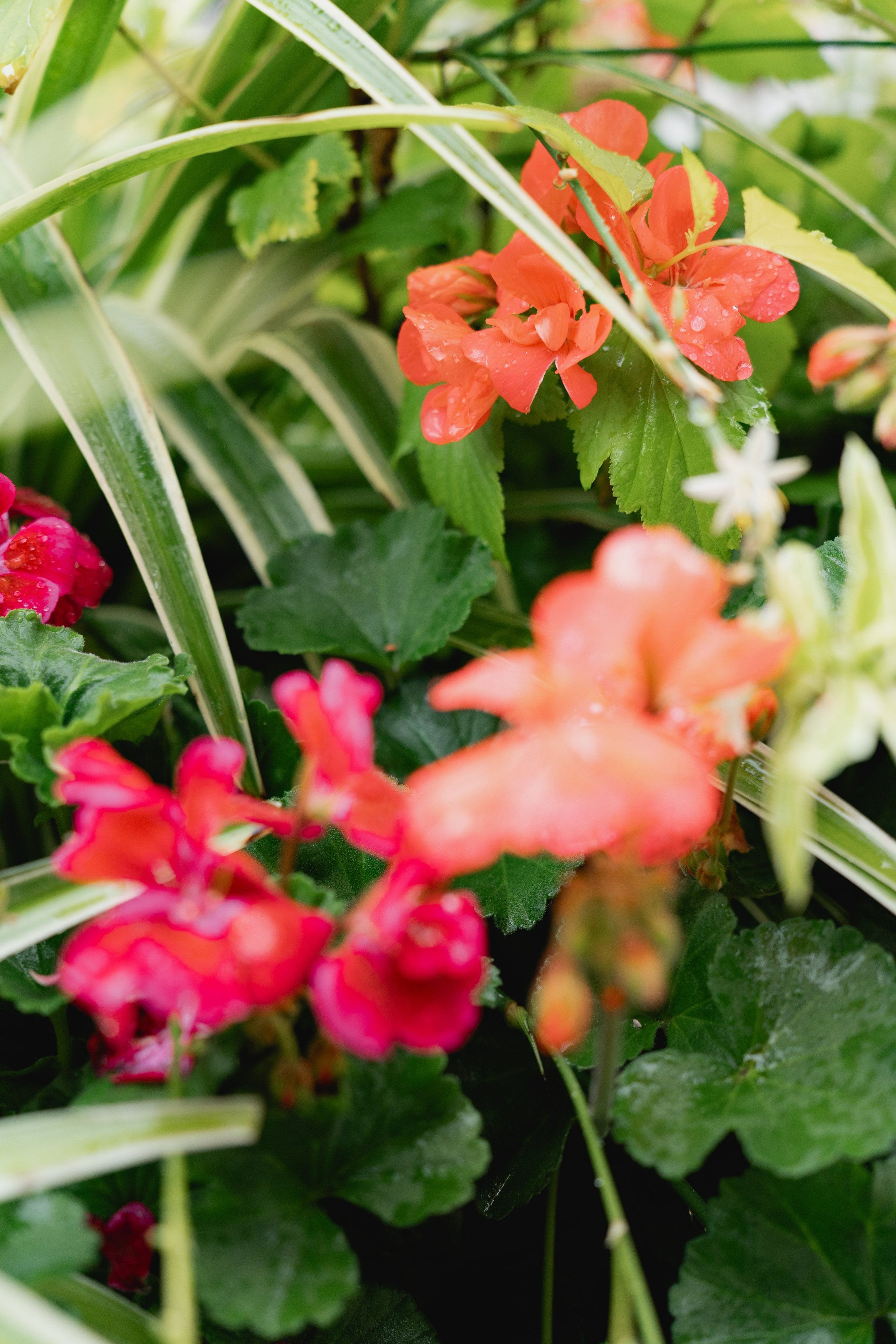 Бохо начинается с тебя. Виктория Саханкова — портретный и семейный фотограф в Москве