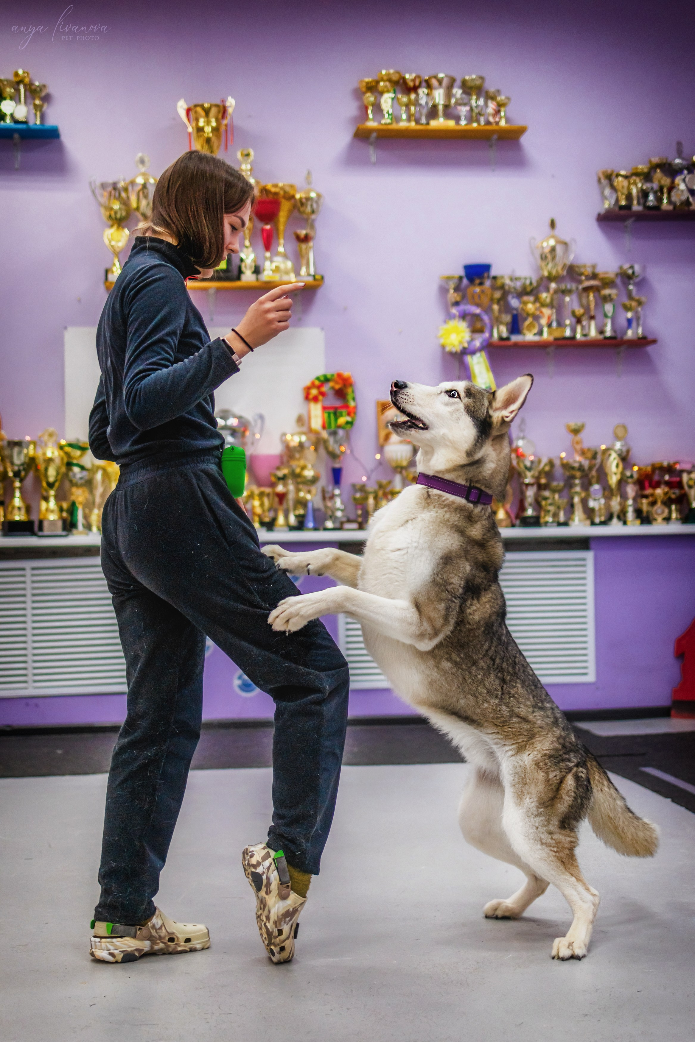 НГ конкурсы в «Simply the Best». Фотограф анималист Аня Ливанова | Рыбинск