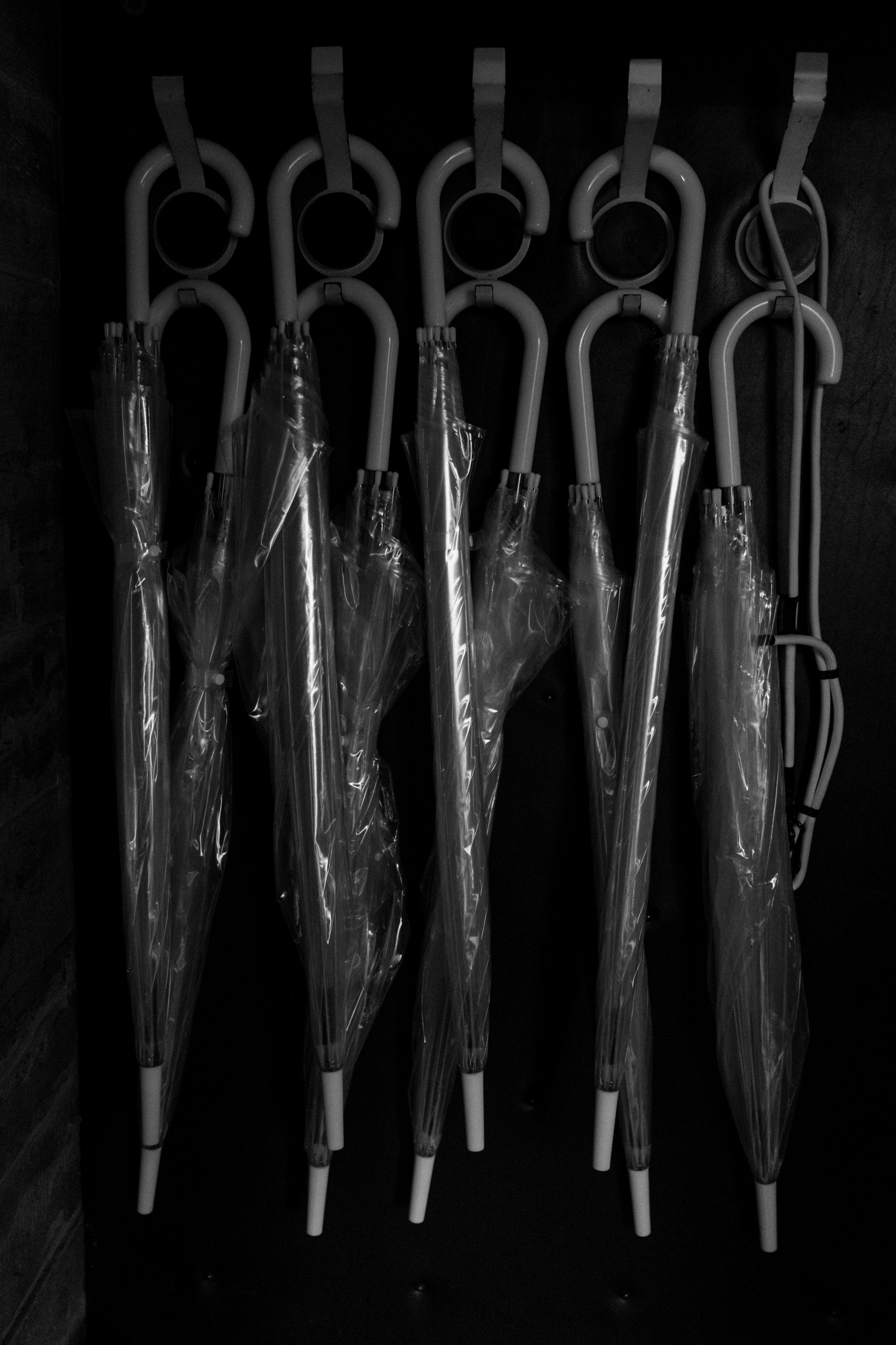 ECO-Wed!. Фотограф Сергиев Посад Москва Хованская Екатерина