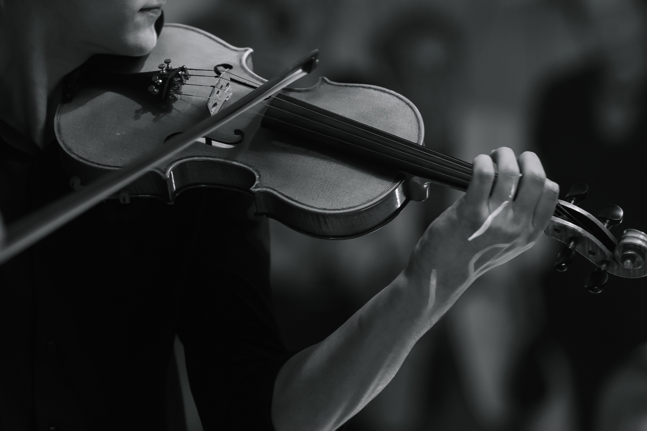 Шоу тортов 2. Свадебный фотограф