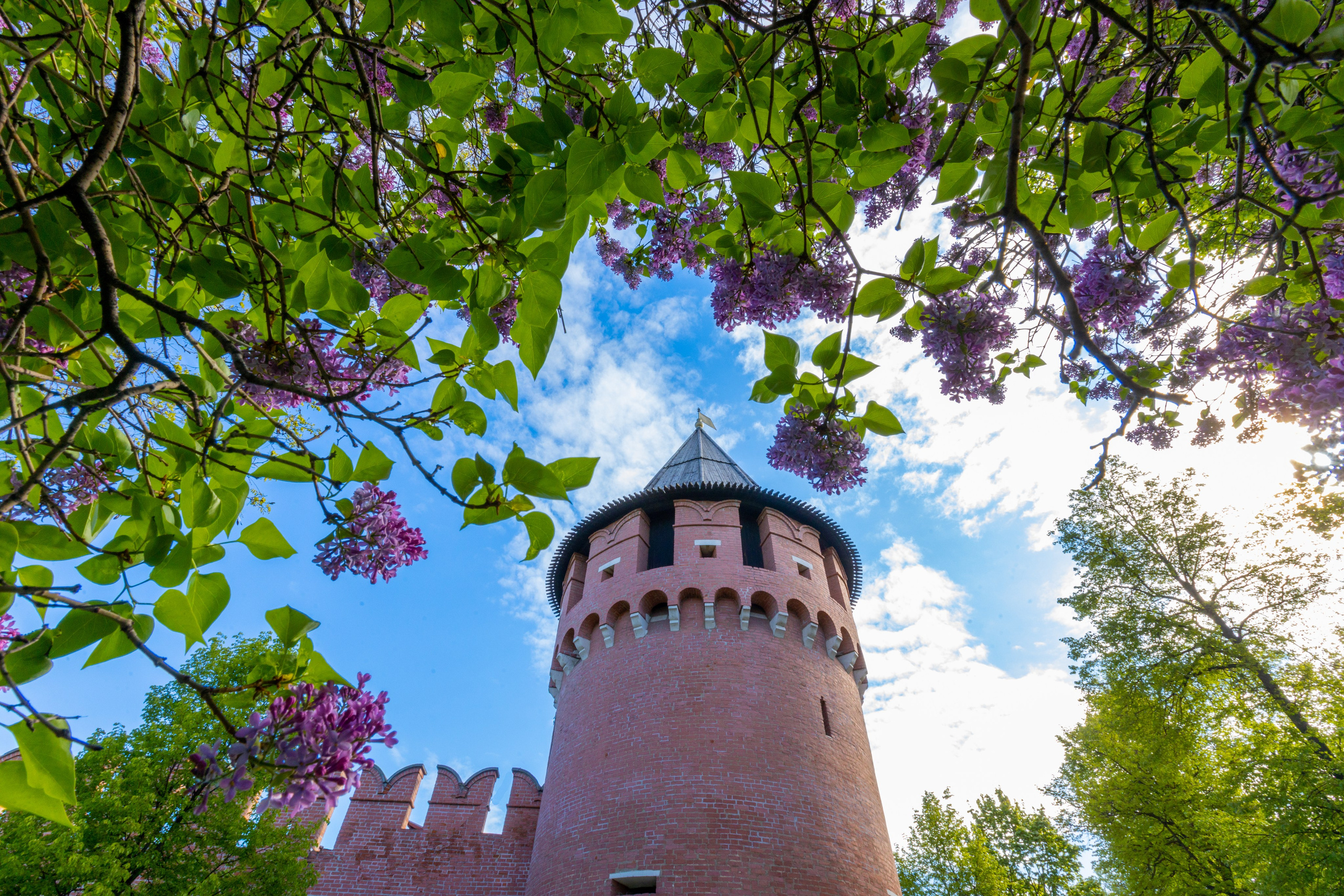 Весеннее цветение в Туле. Фотограф в Туле Крупский АнДРей. Фотостудия «КАДР71» в Туле