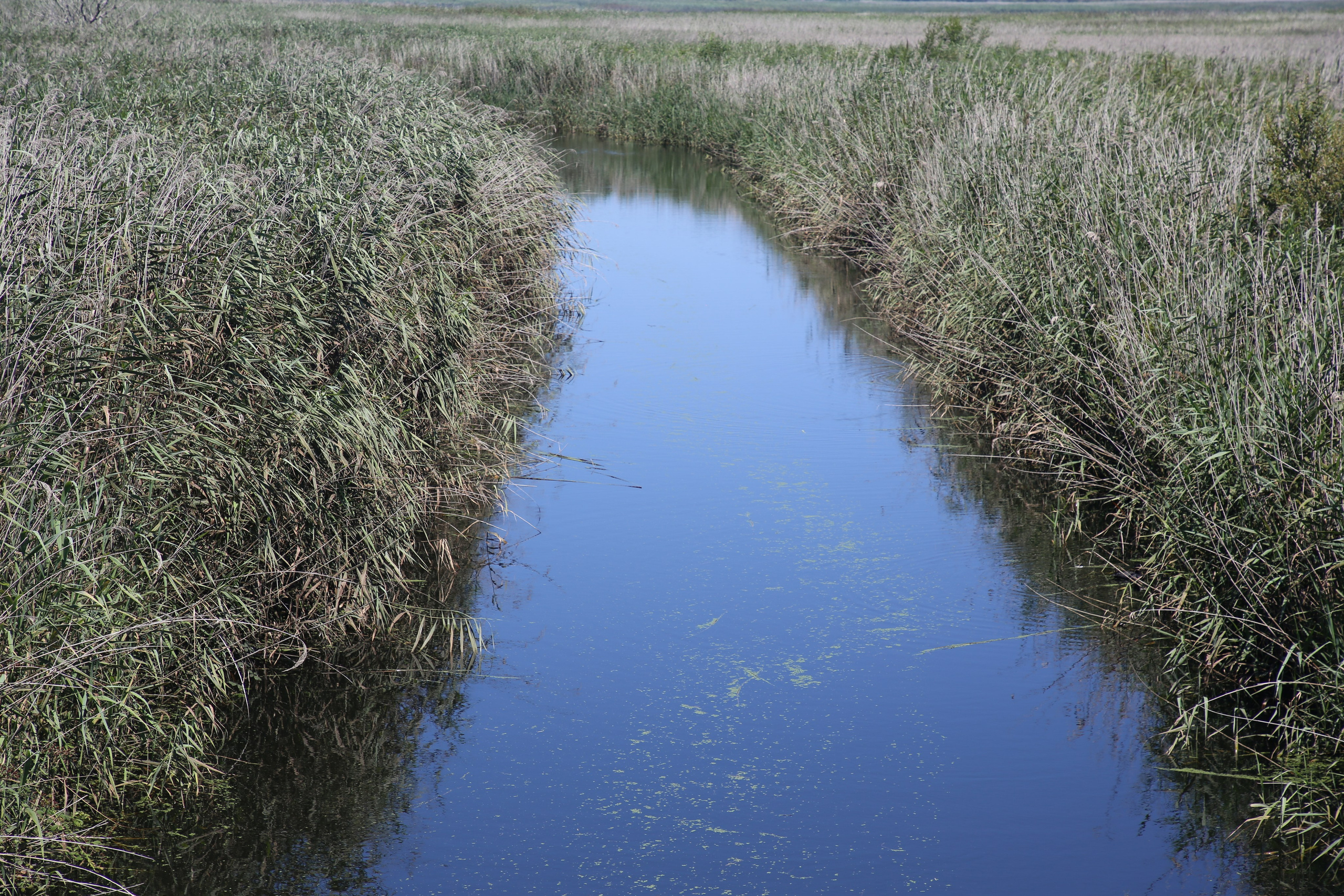 Esmoriz, Portugal. Andrey Filippov Photographer