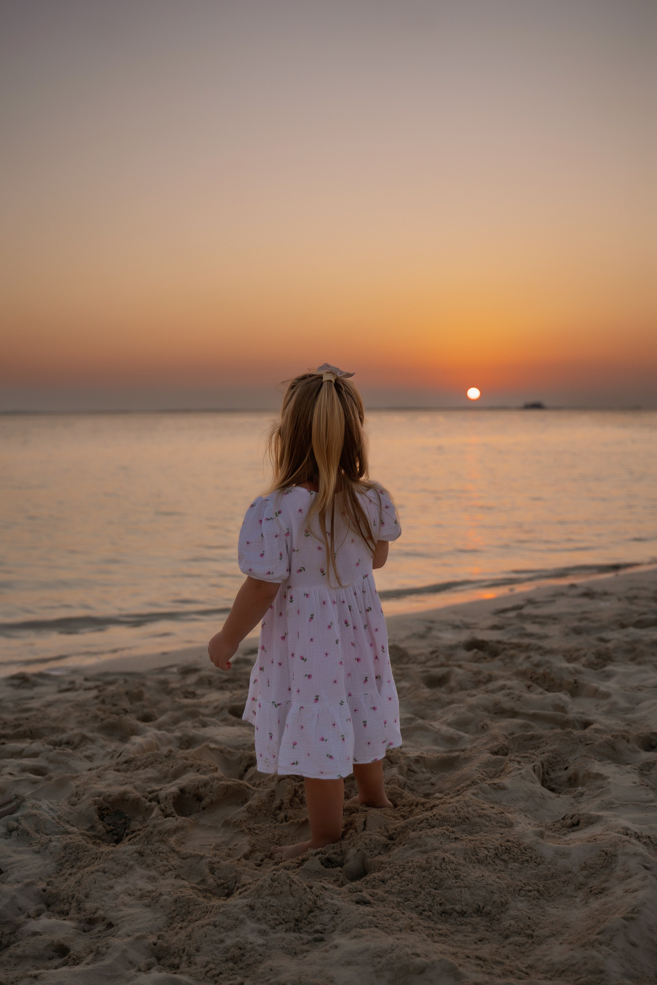 Alisa, cactuses and sunset