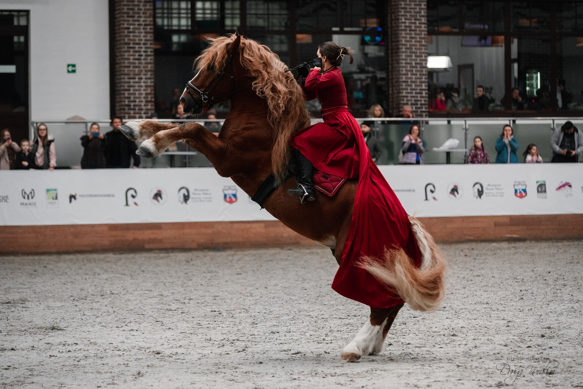 8-я международная выставка Конная Россия. Конный фотограф Куракина Дарья • Фотосессии с лошадьми