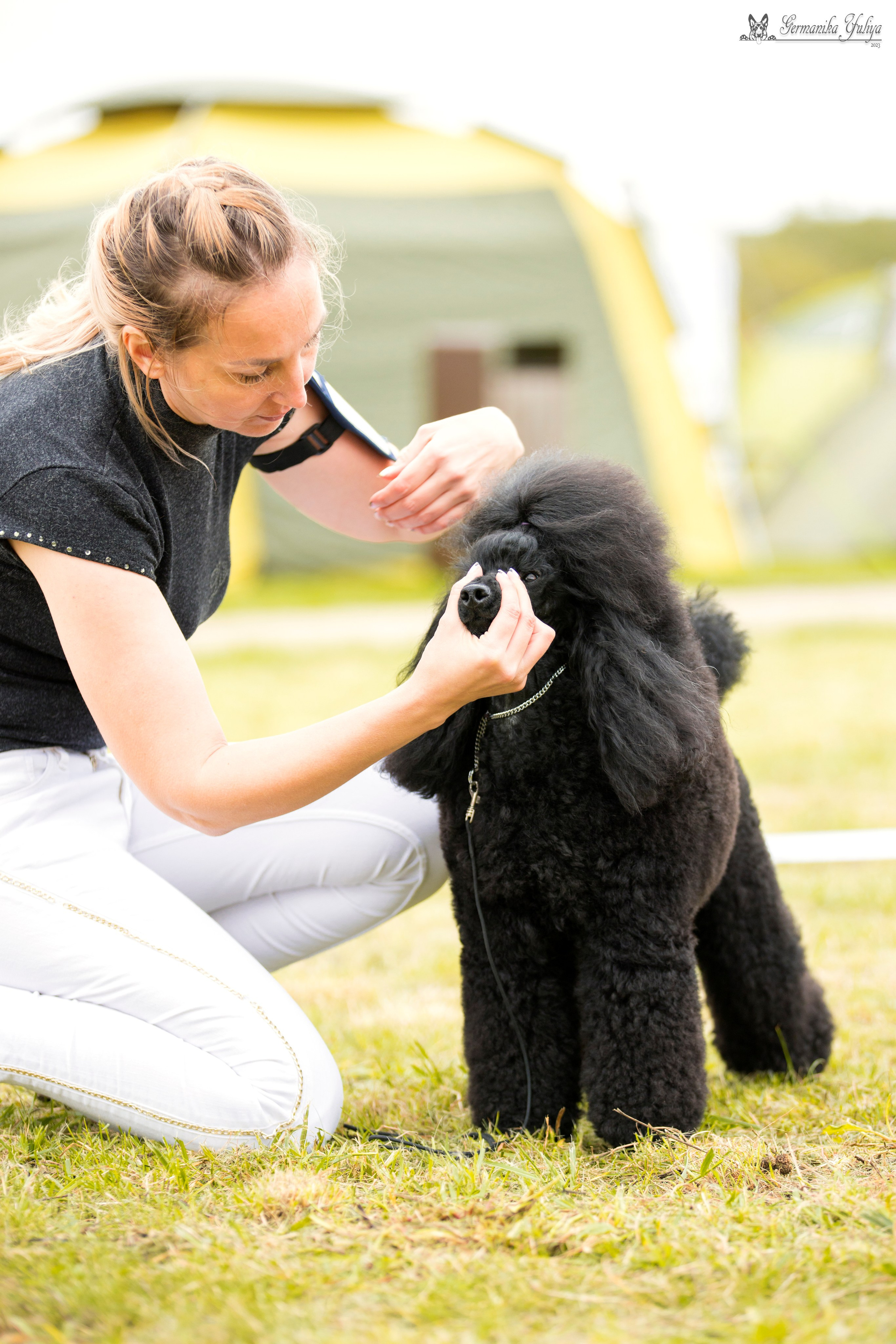 Переславль 9-10.09.2023. Фотограф-анималист Юлия Германика