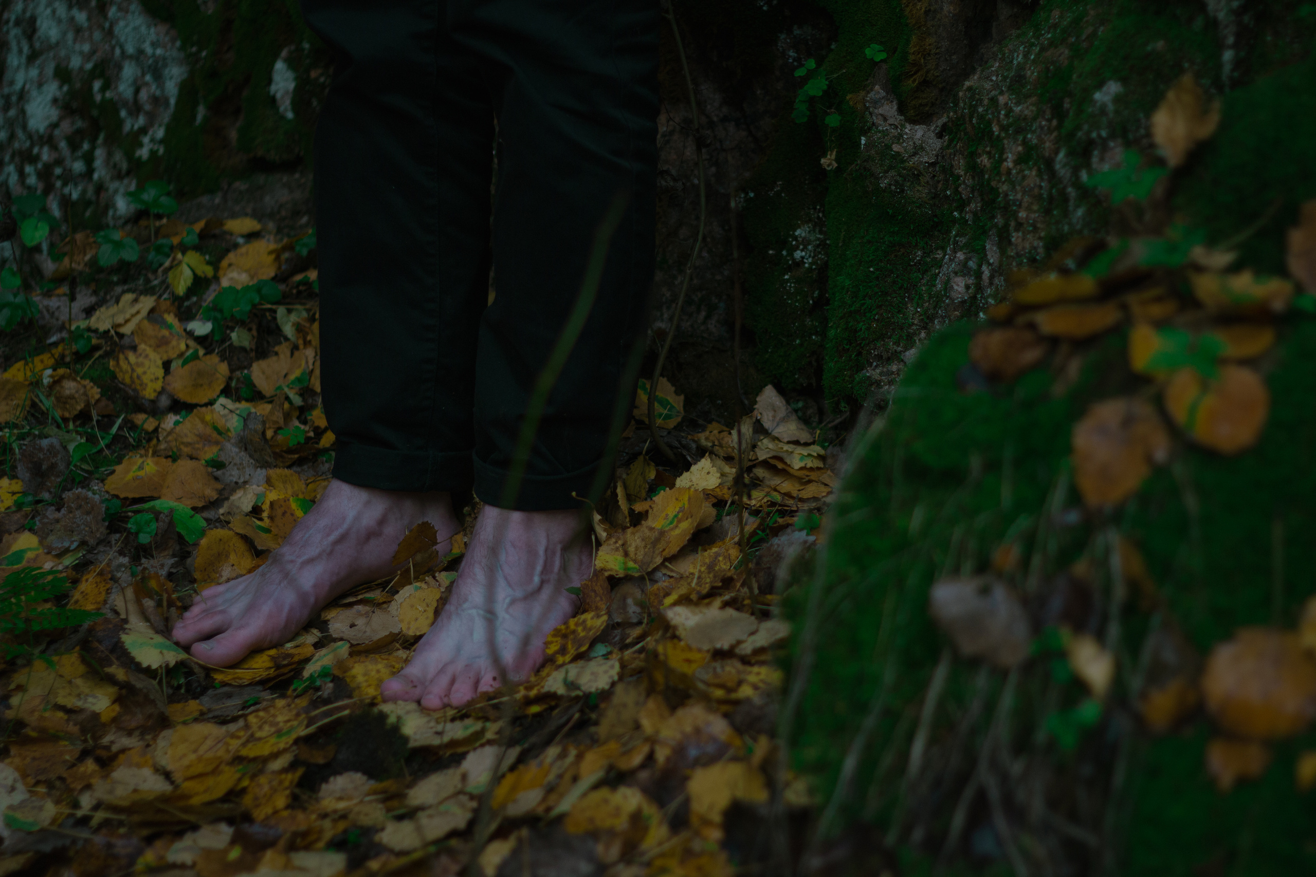 Никита. Фотограф Блинова Арина | Санк-Петербург