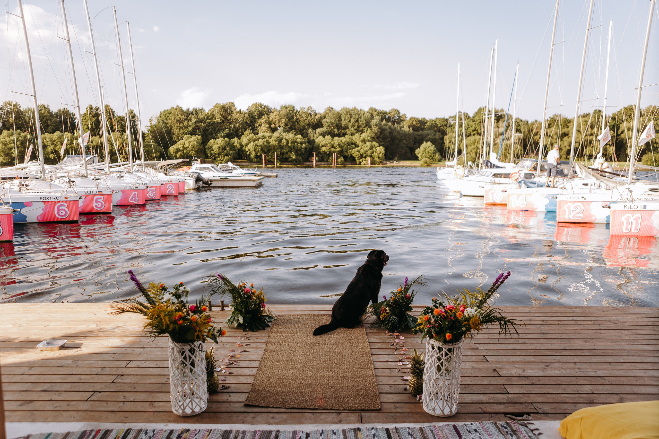 Crazy in love. Свадебный и семейный фотограф Арина Кулёва