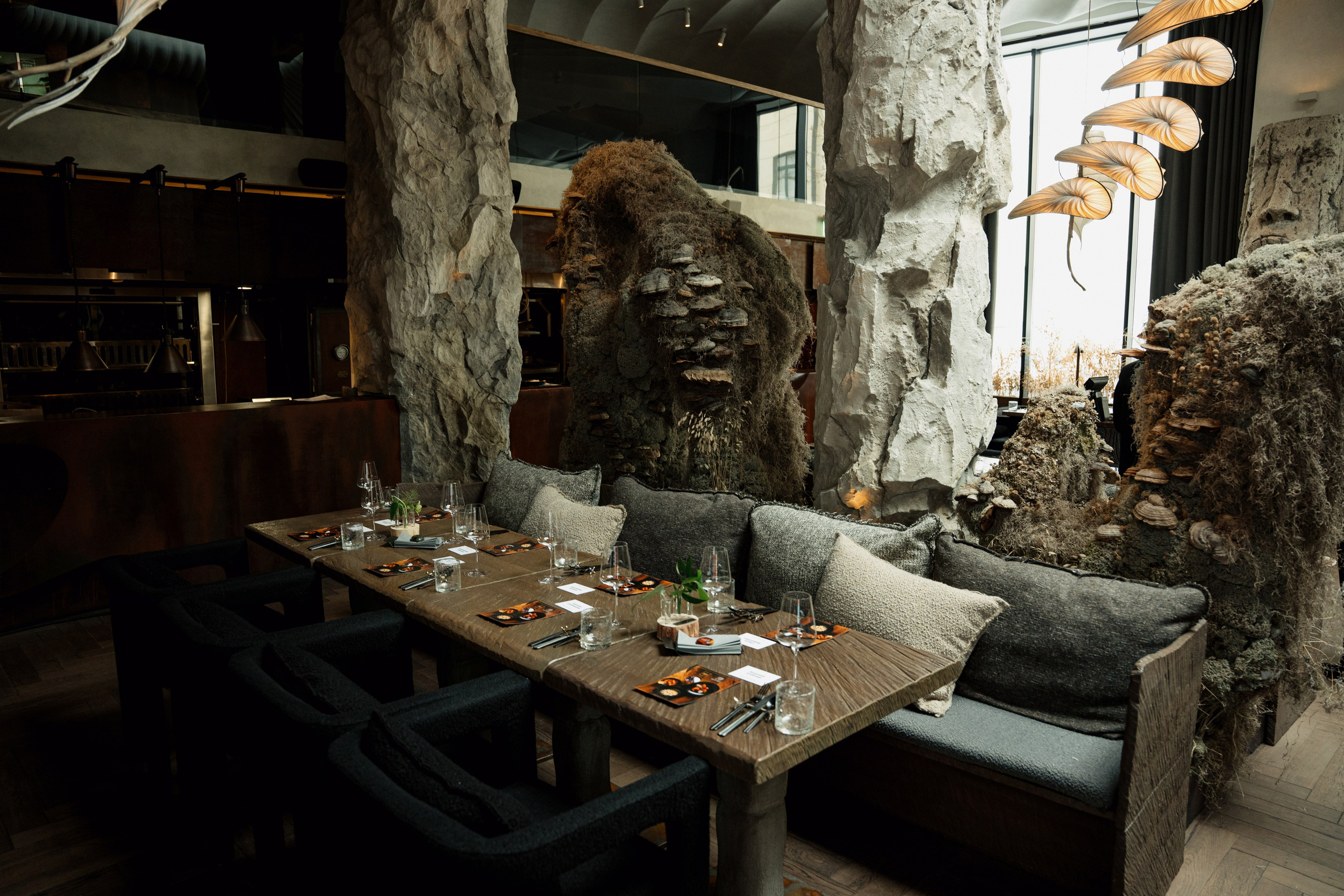 MAYR VEDA. Yankovski_001