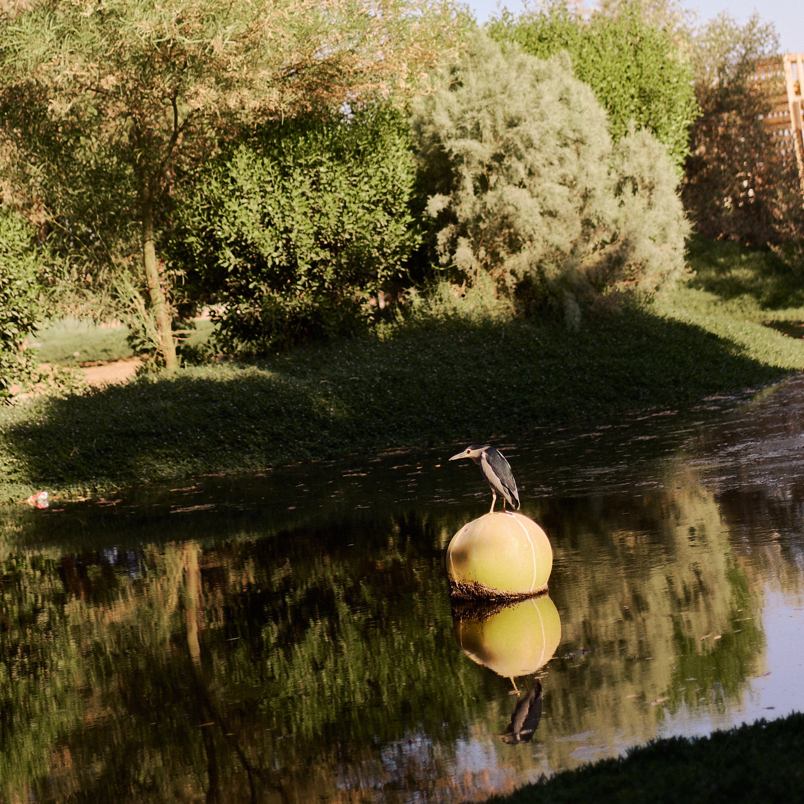 Другое 3. Jorgis Talè — photographer, kind person, teacher of arts and other mag