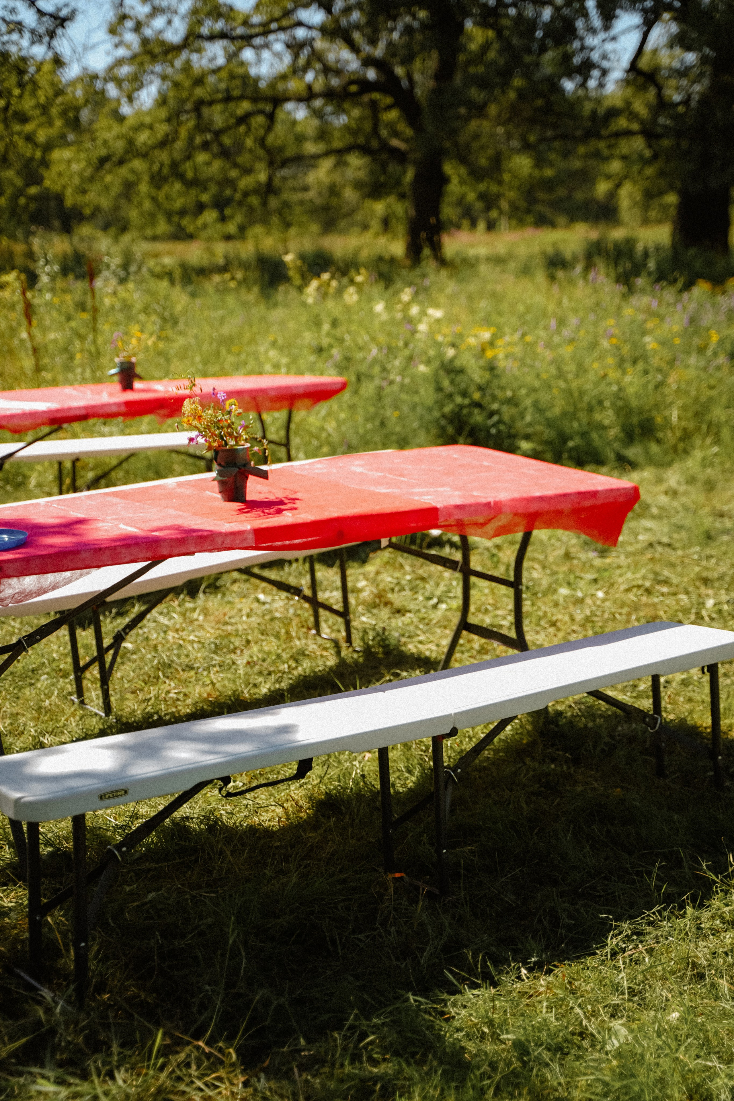 Палаточный форум для взрослых CAMPot 2024. Фотограф Надежда Погребняк | Рязань | Москва