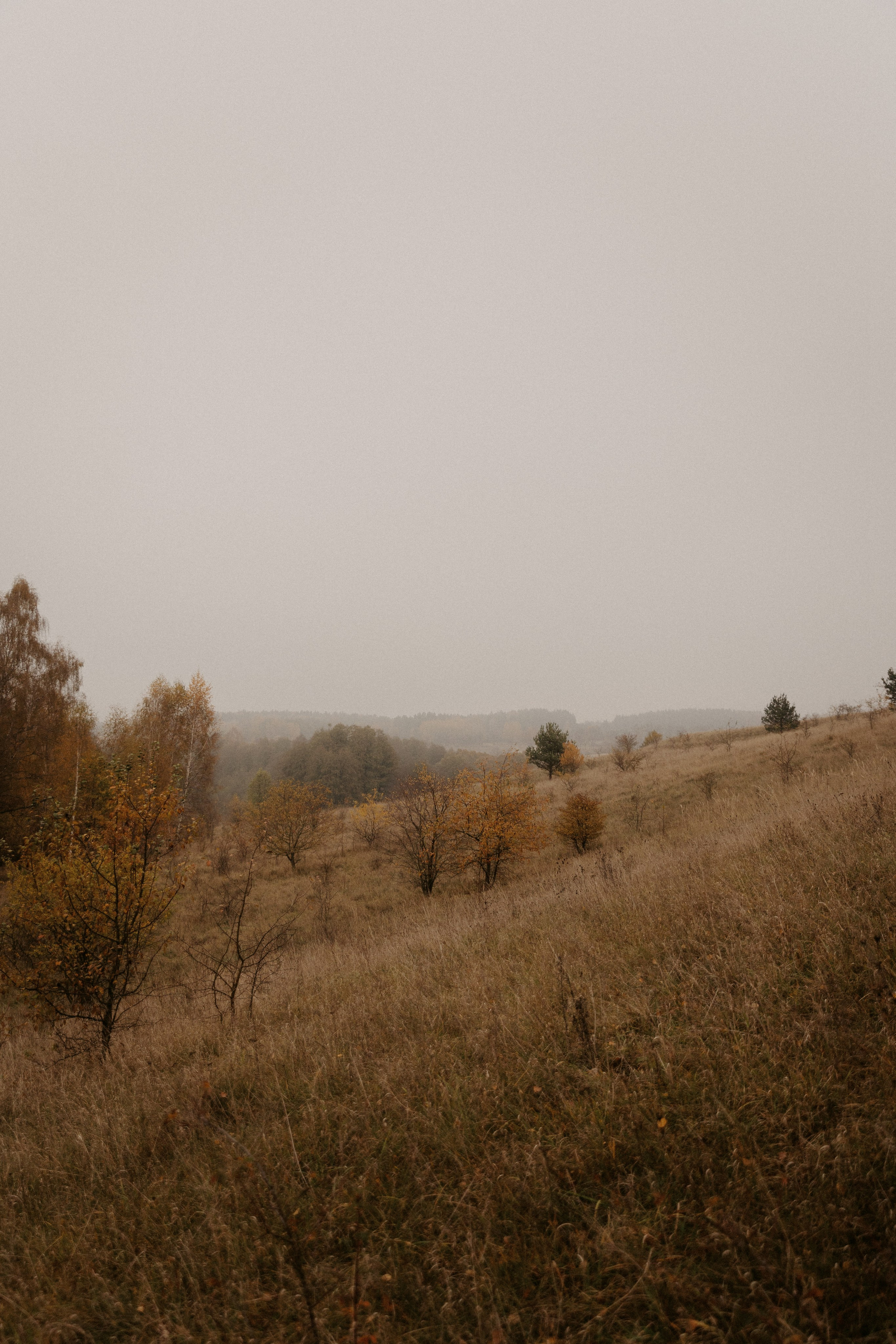 A&A. Свадебный и портретный фотограф в Калининграде и Москве Марк Юдинцев