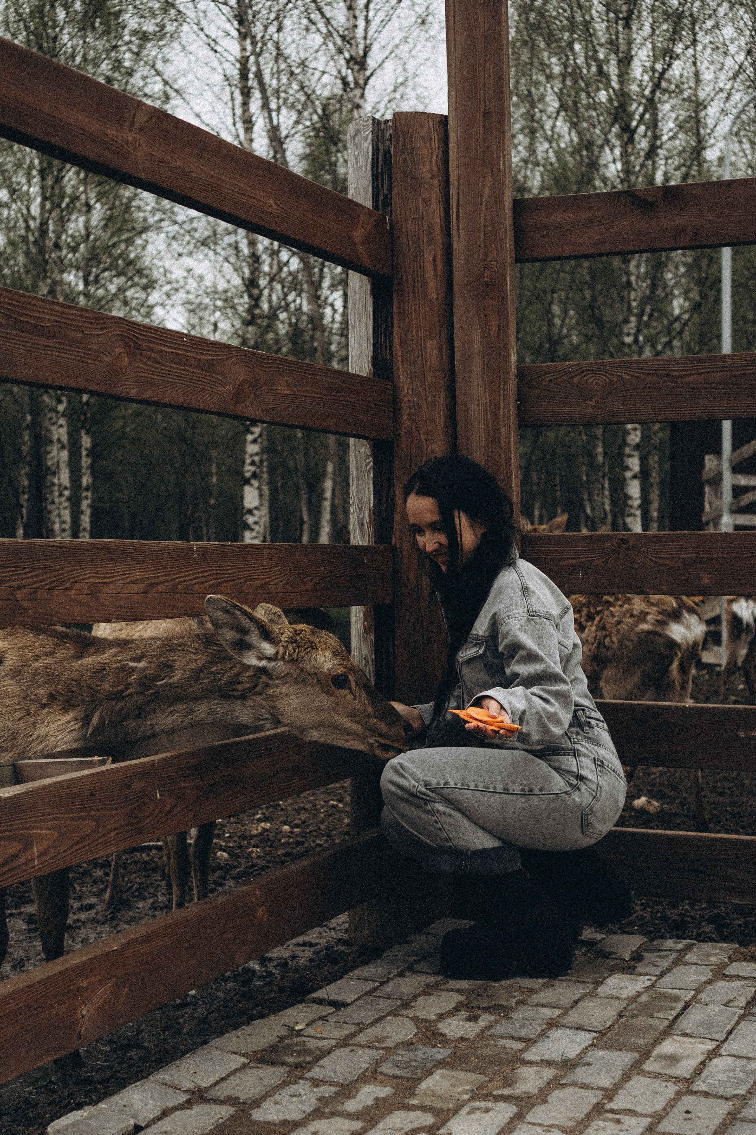 ОЛЕНЬЯ ФЕРМА В ТВЕРИ. Профессиональный фотограф, Санкт-Петербург — Виктория Богомолова