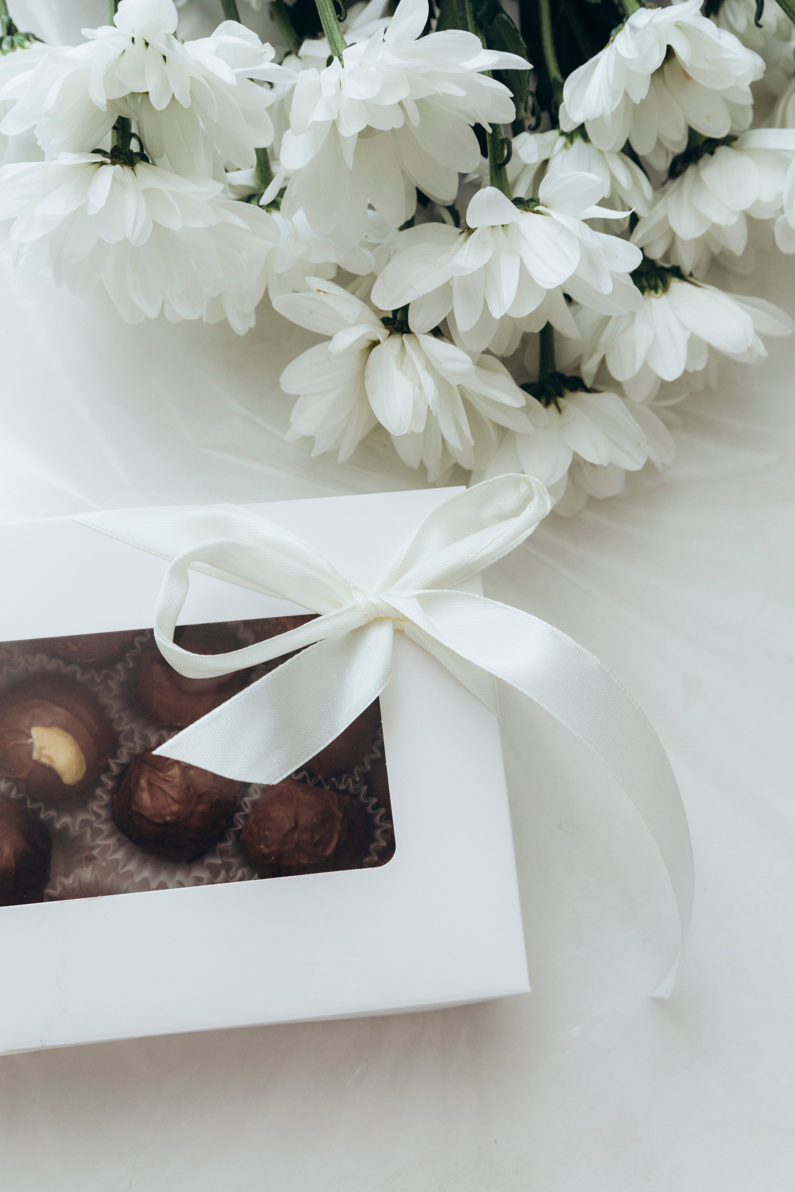 Мастер-класс «Трюфель». Фотограф Кемерово Анастасия Ларионова