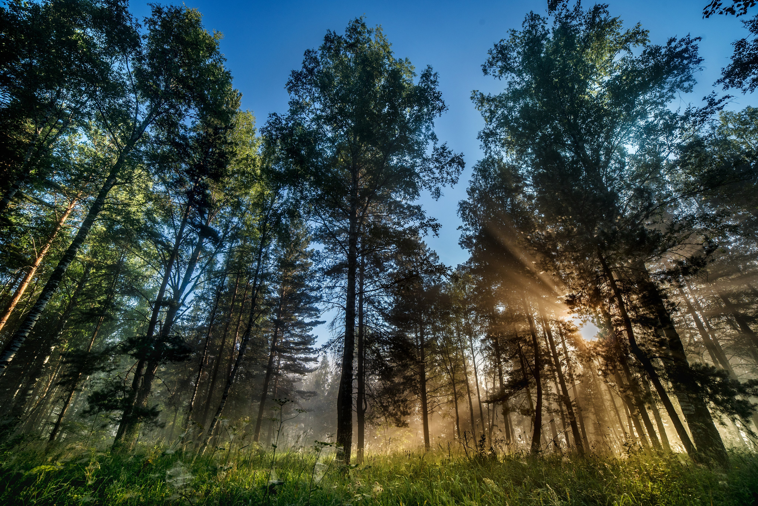 Пейзажи. Репортажный фотограф в Ижевске Константин Ившин