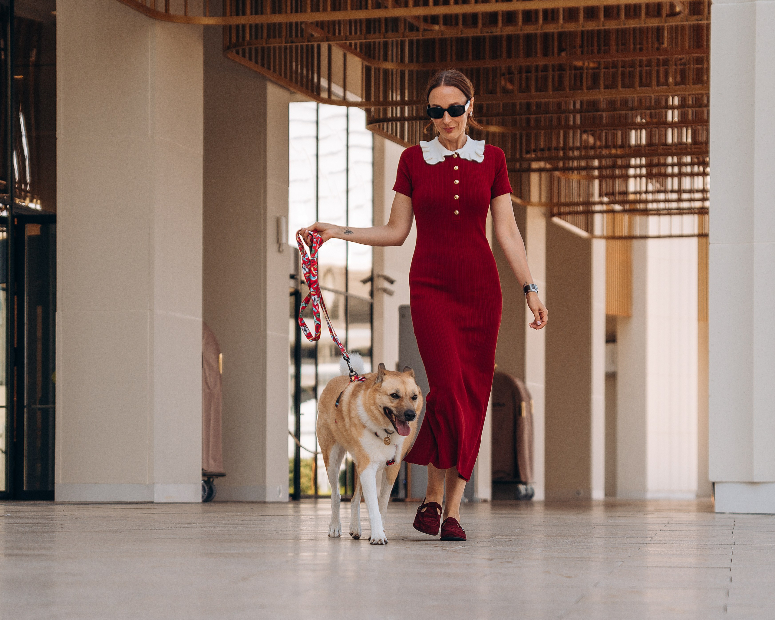 Животные. Фотограф Сочи-Краснодар