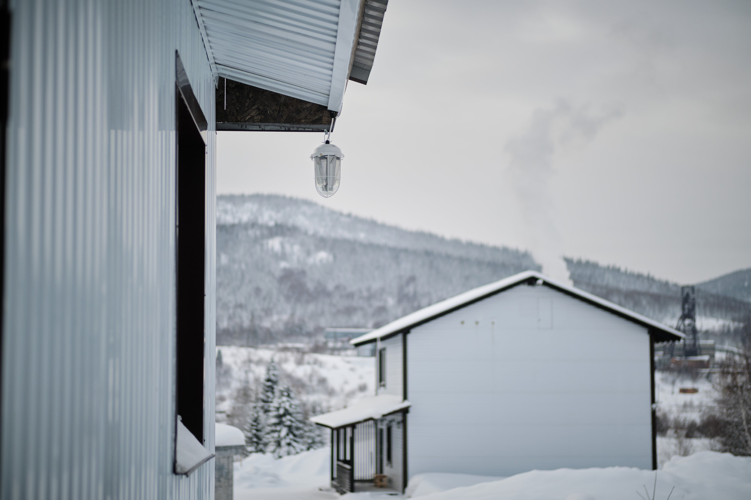Цветочная 12. Свадебный и семейный фотограф в Новокузнецке Иван Иванов