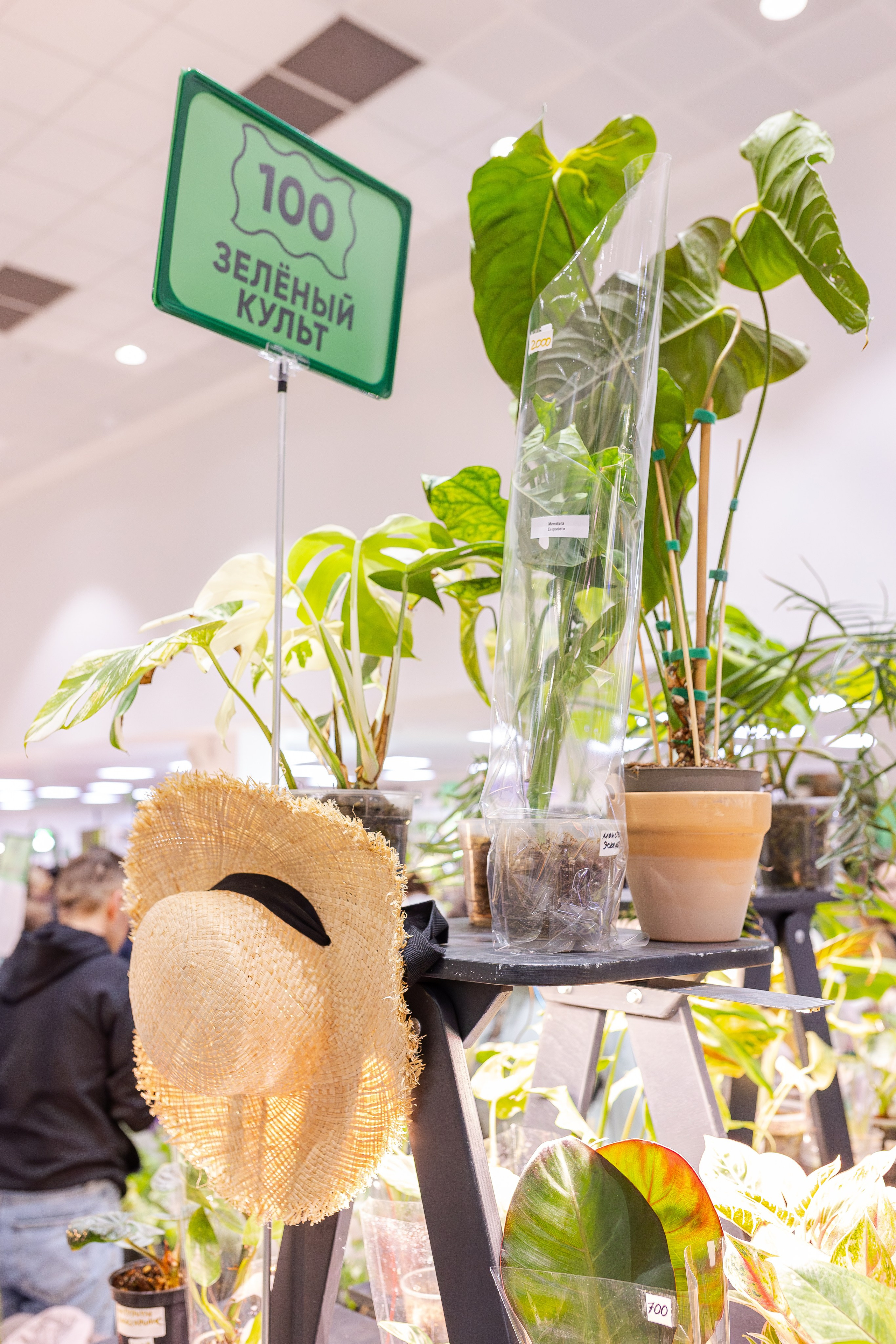 Монстериум апрель 2026. Александра Куликова фотограф, Москва
