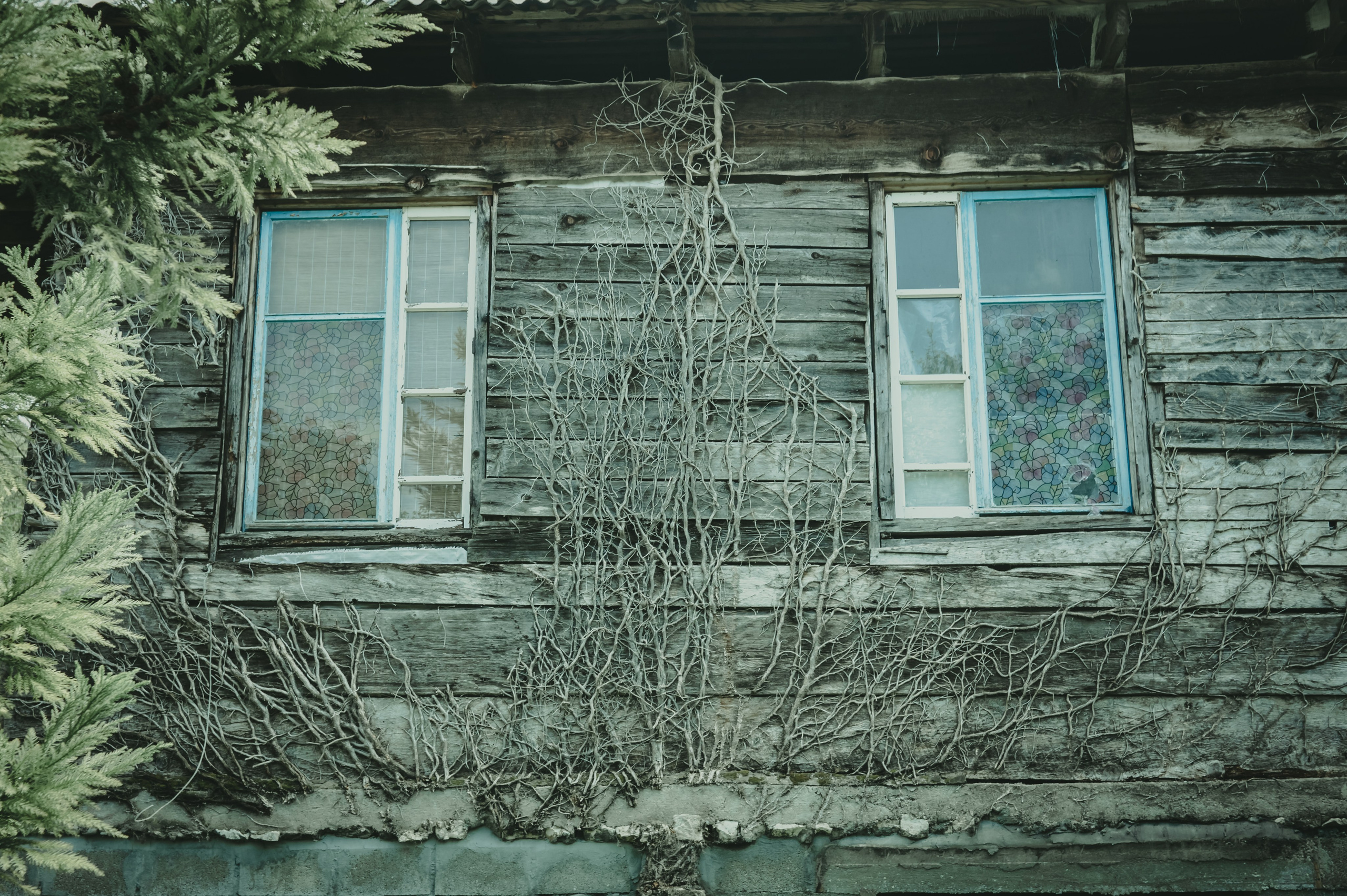 Абхазия. Женский фотограф Крещение Венчание Москва Брянск