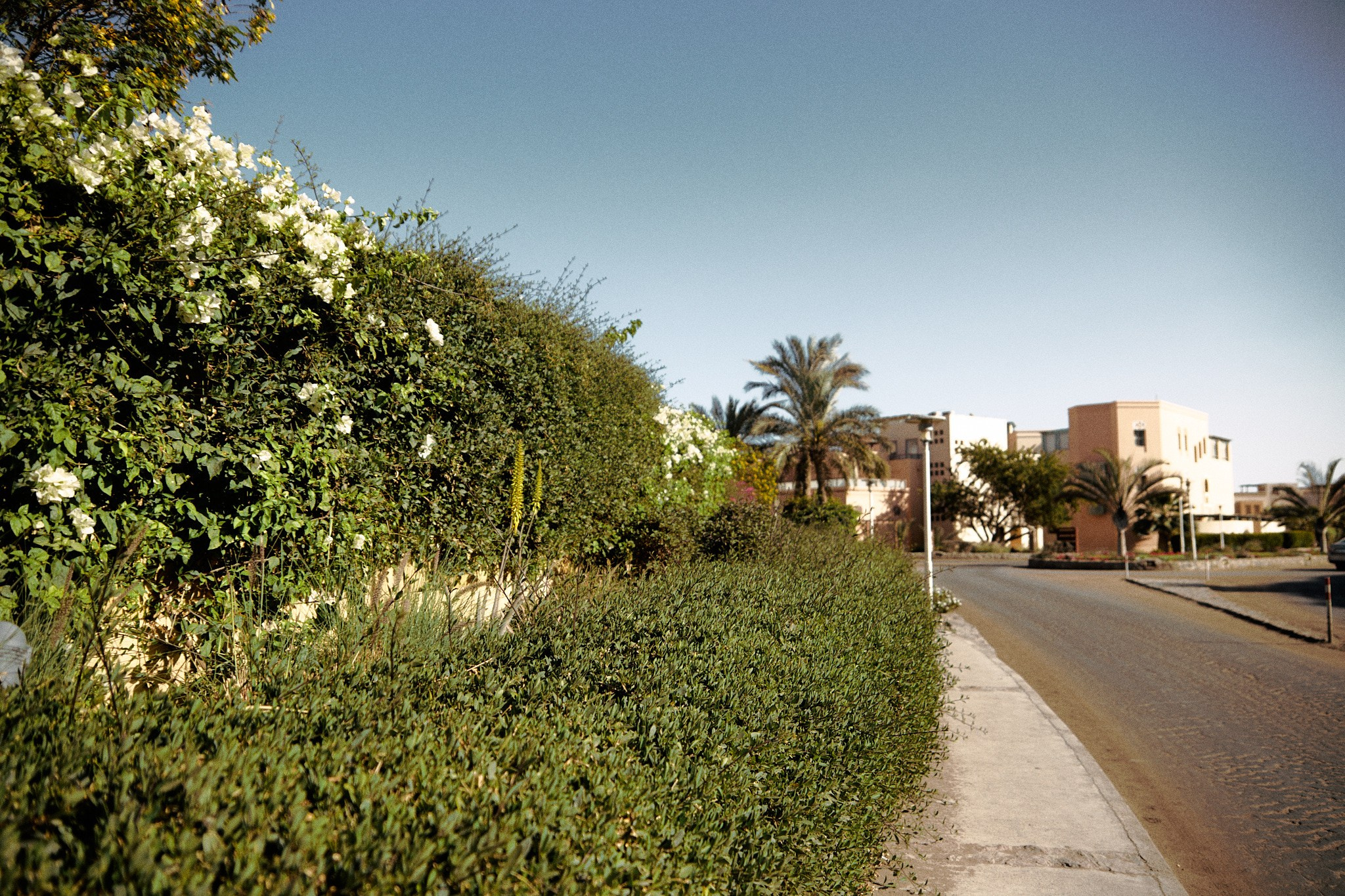 Второй сорт. Jorgis — фотограф в Хургаде / обучение фотографии