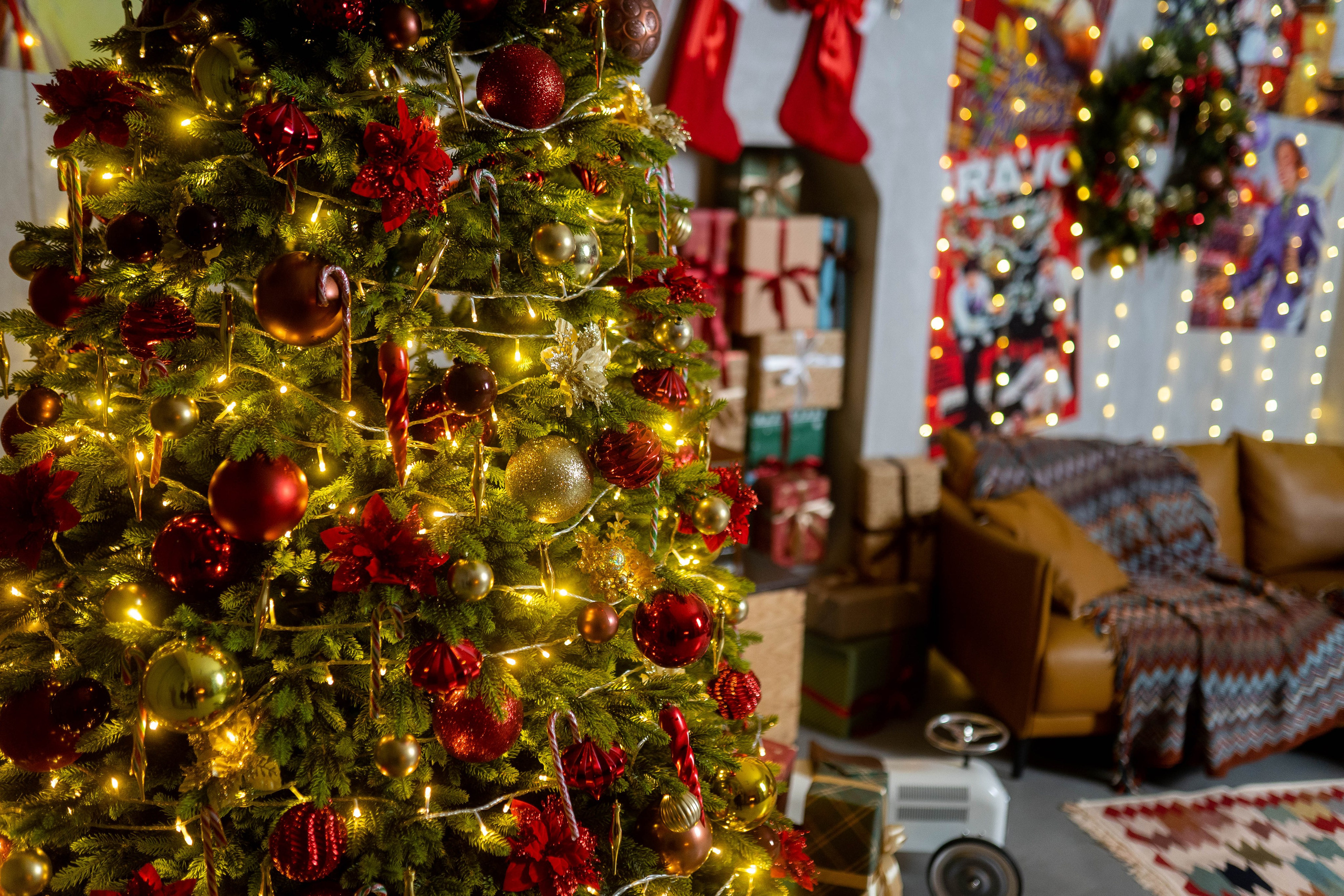 Зал Блок. Фотограф г. Хабаровск. Семейные и индивидуальные съёмки