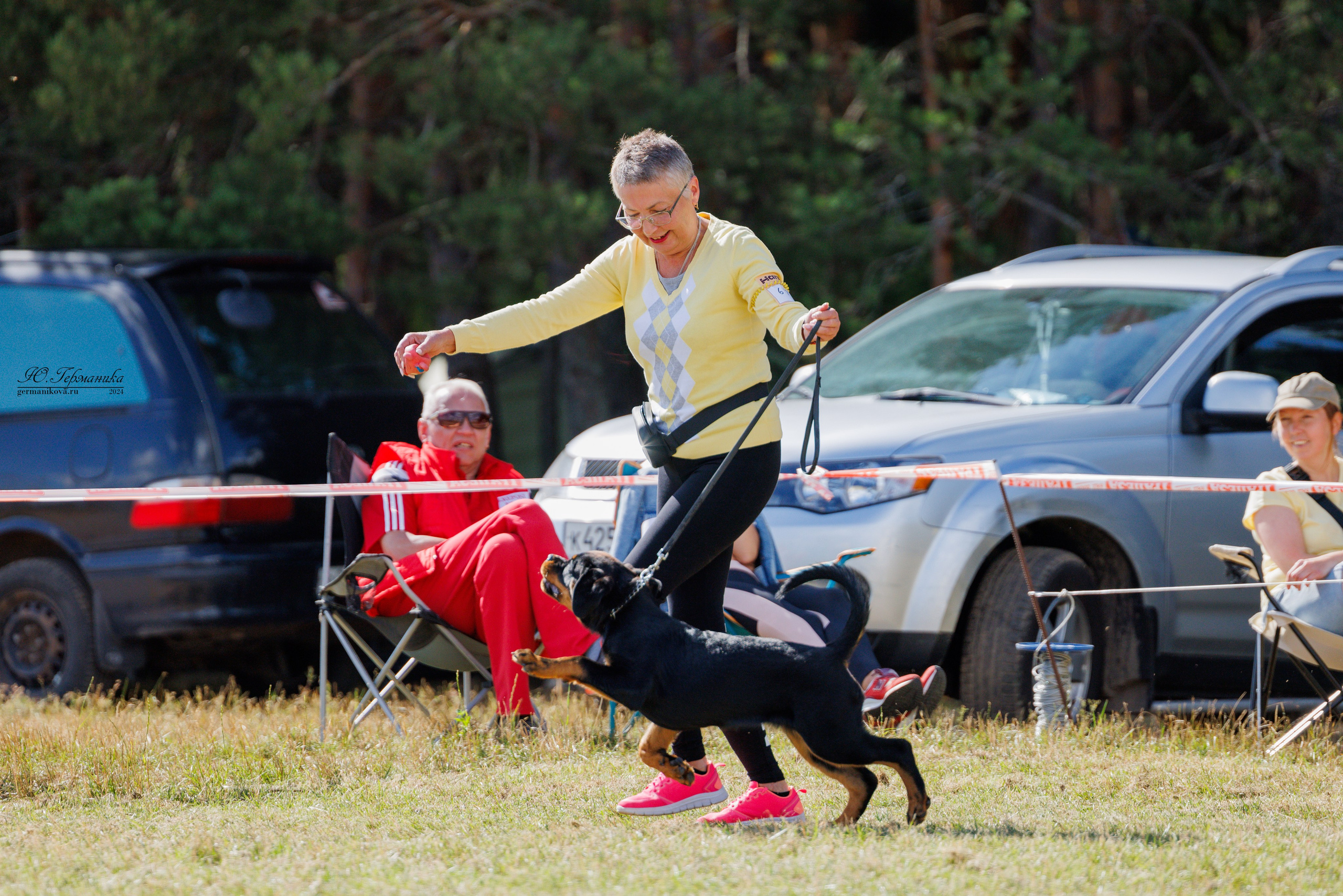 ПК и КЧК ротвейлеры Тверь 6-7.07.2024. Фотограф-анималист Юлия Германика