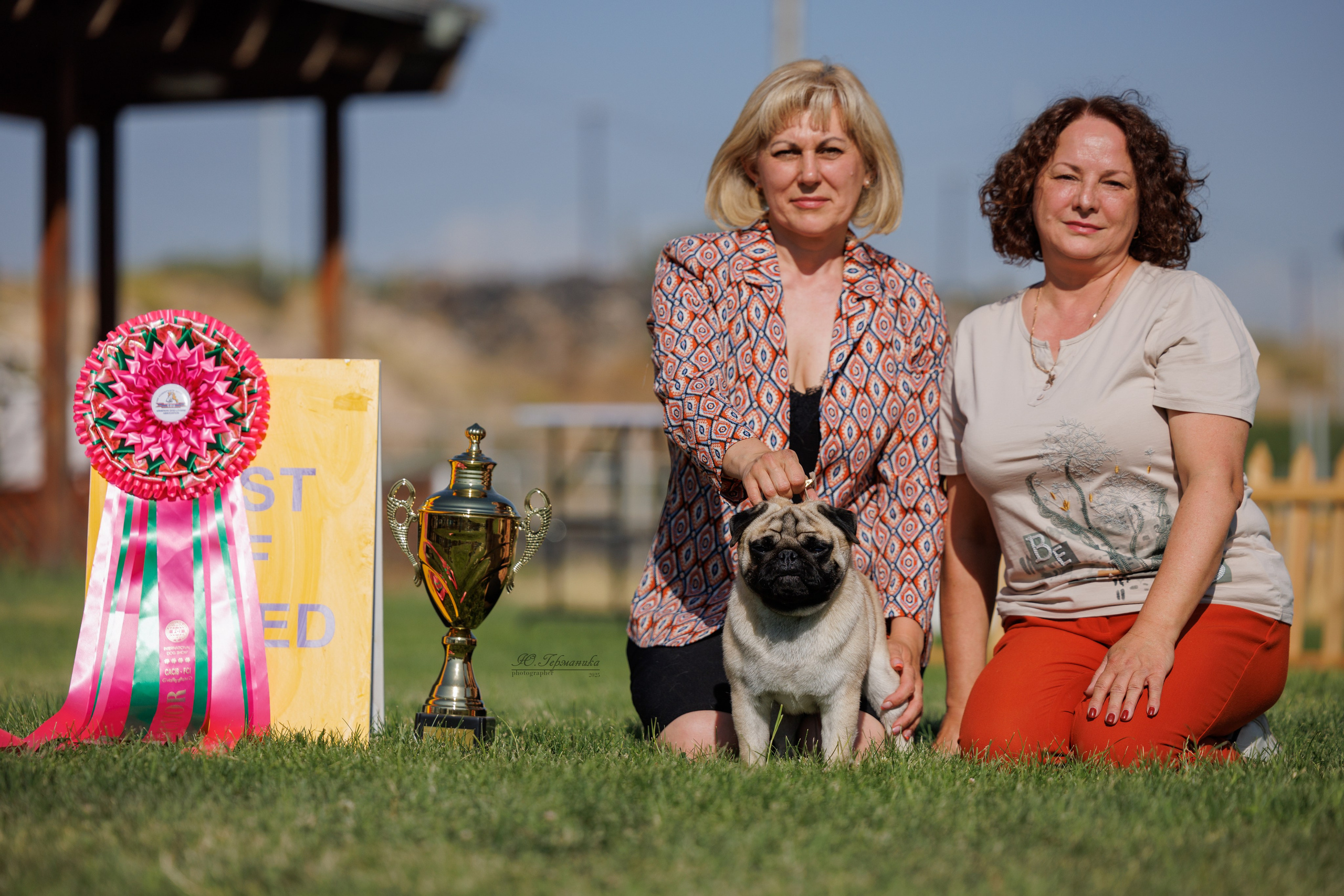 Ереван 3хCACIB 23-25.06.2025. Фотограф-анималист Юлия Германика