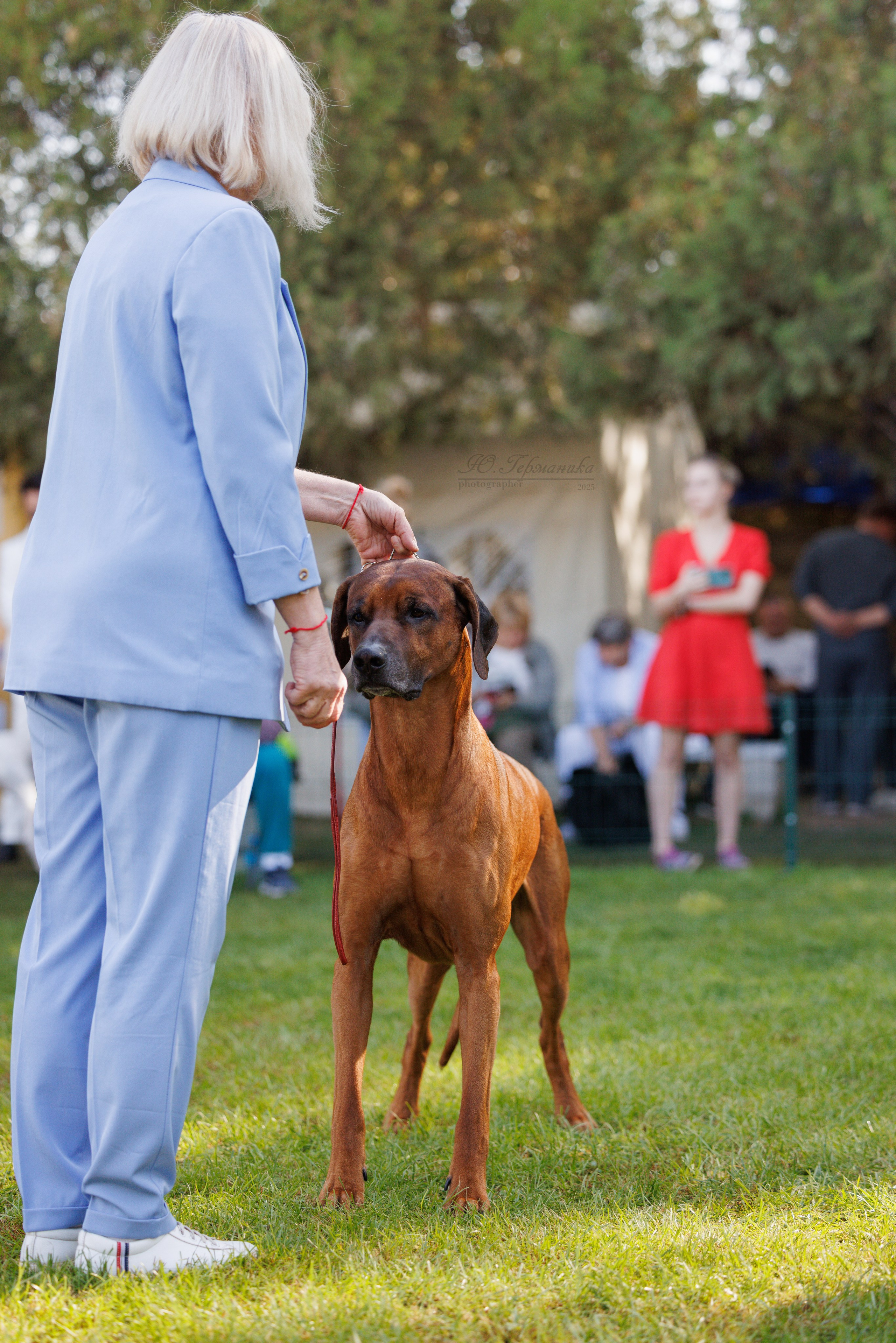 Бишкек 3х CACIB 26-28.09.2025. Фотограф-анималист Юлия Германика